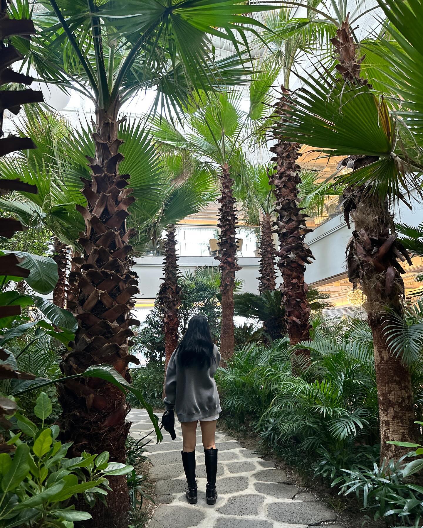 초록초록💚
