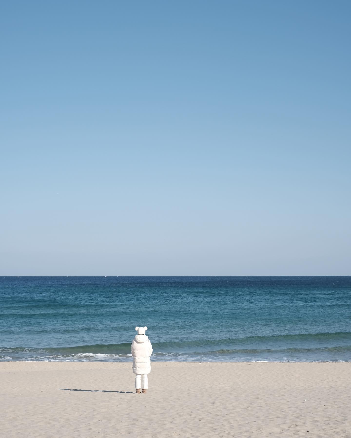 다소곰🐻‍❄️🏝️