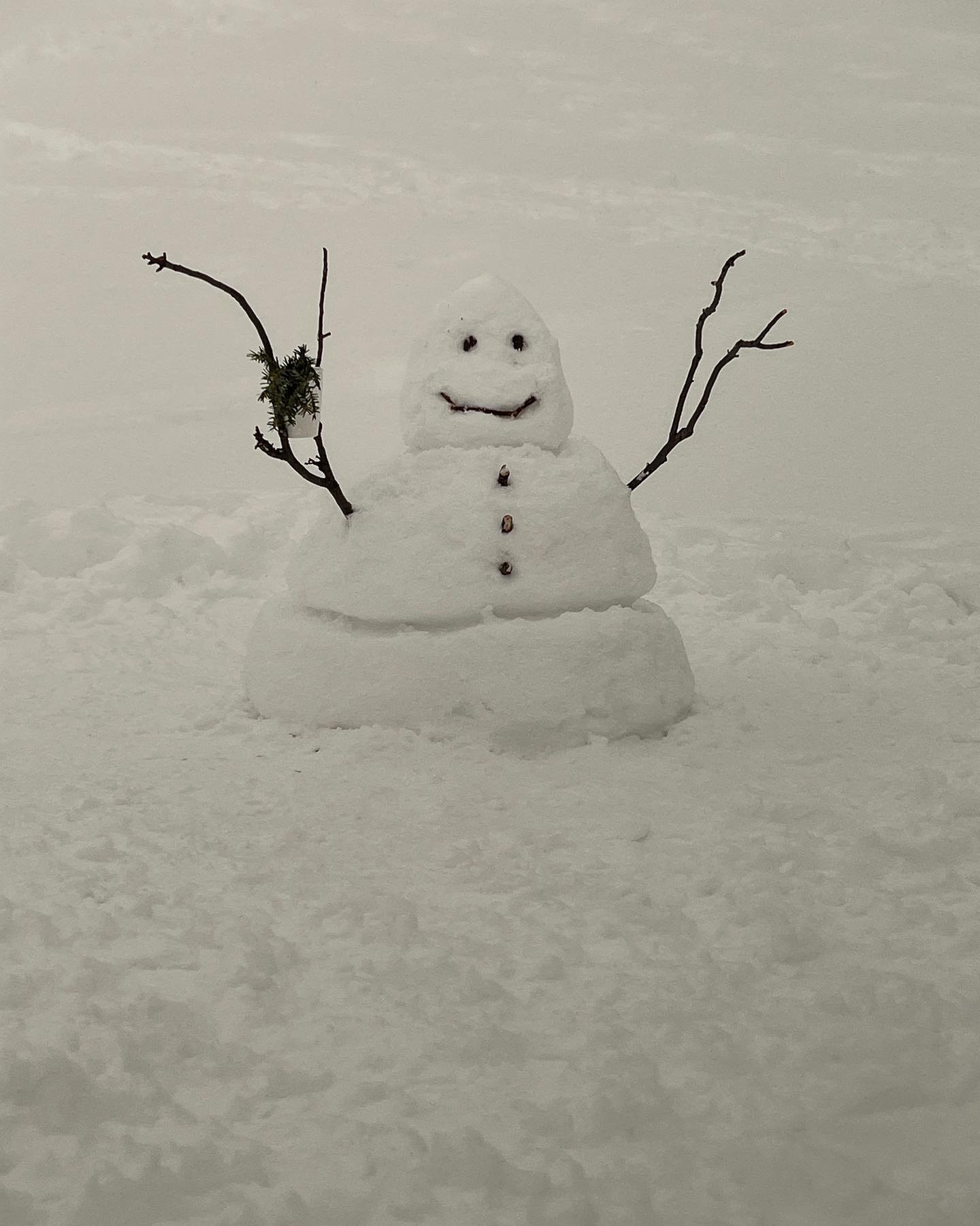 오늘부터 겨울 피드로 전환합니다-☃️❄️🧣🎅🏻