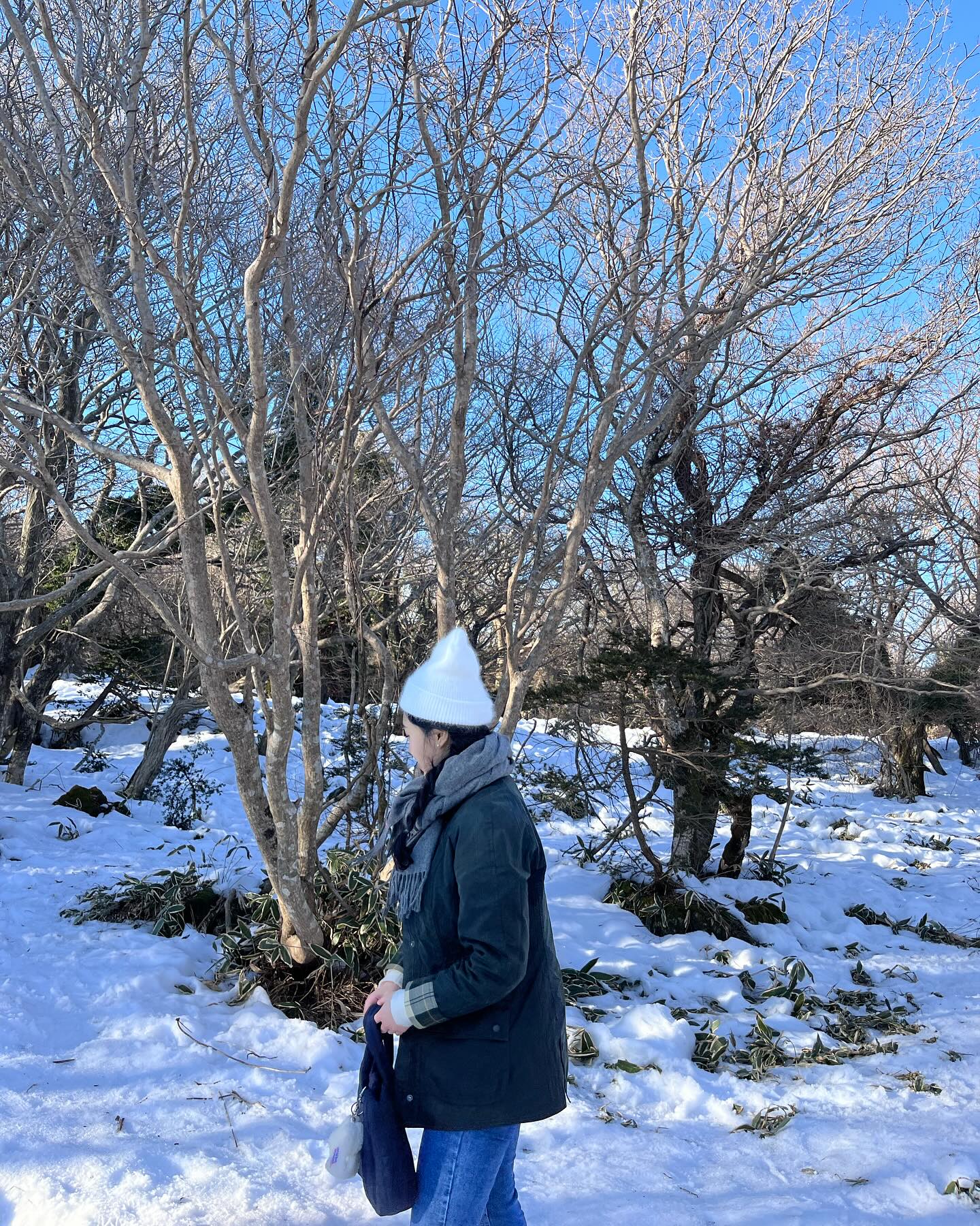 ⠀ 
눈 덮힌 한라산 보려고 했는데 날이 따뜻해서 많이 녹아버렸다 🫠

라떼는 쌀포대로 썰매 탔는데 내 쇼핑백 썰매 💩🚘
뒤에 벤츠 썰매 너무 부러웠다 … (,,•́ω ก̀,,) …

❄️ 한라산 1100고지 휴게소, 제주 ⠀