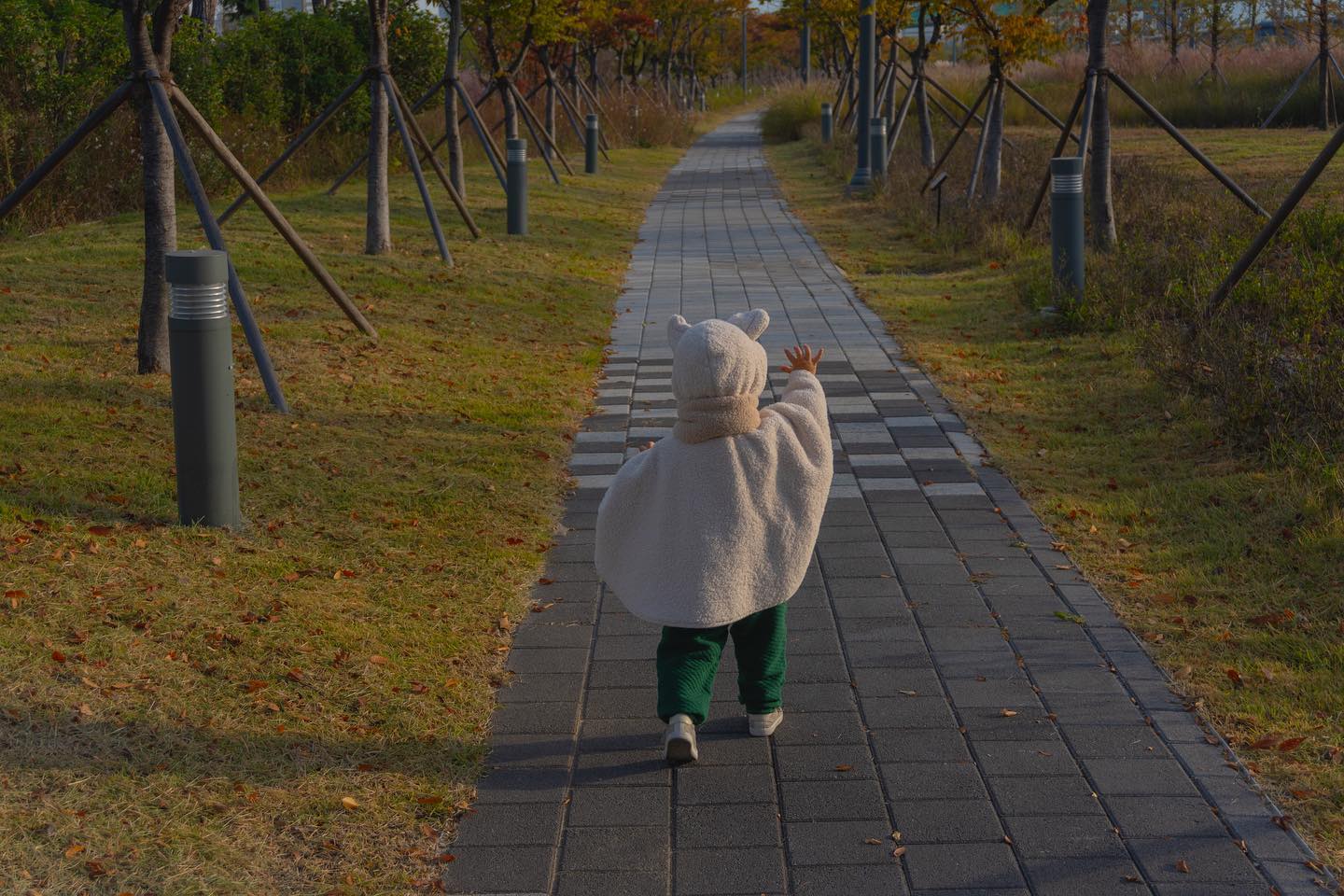 아침 산책은 언제나 즐거워요. 
그저 걷는것 만으로 이렇게 즐거울 수 있다니! 
하지만 정오쯤 되면 졸음이 밀려오네요!!
.
.
#소니이미지갤러리 #내취향한가득 #a6400 #sel1650