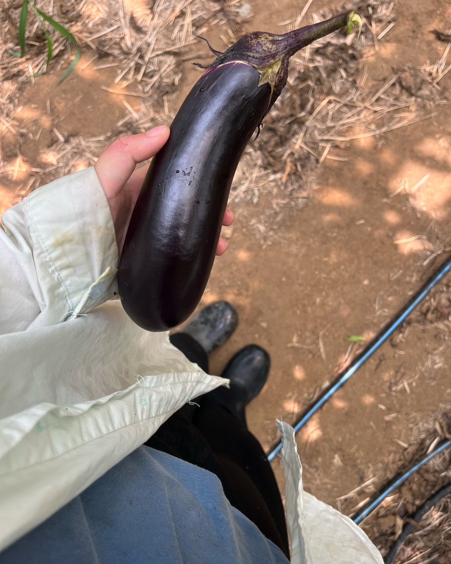 뜨거운 여름날을 기억하며,,