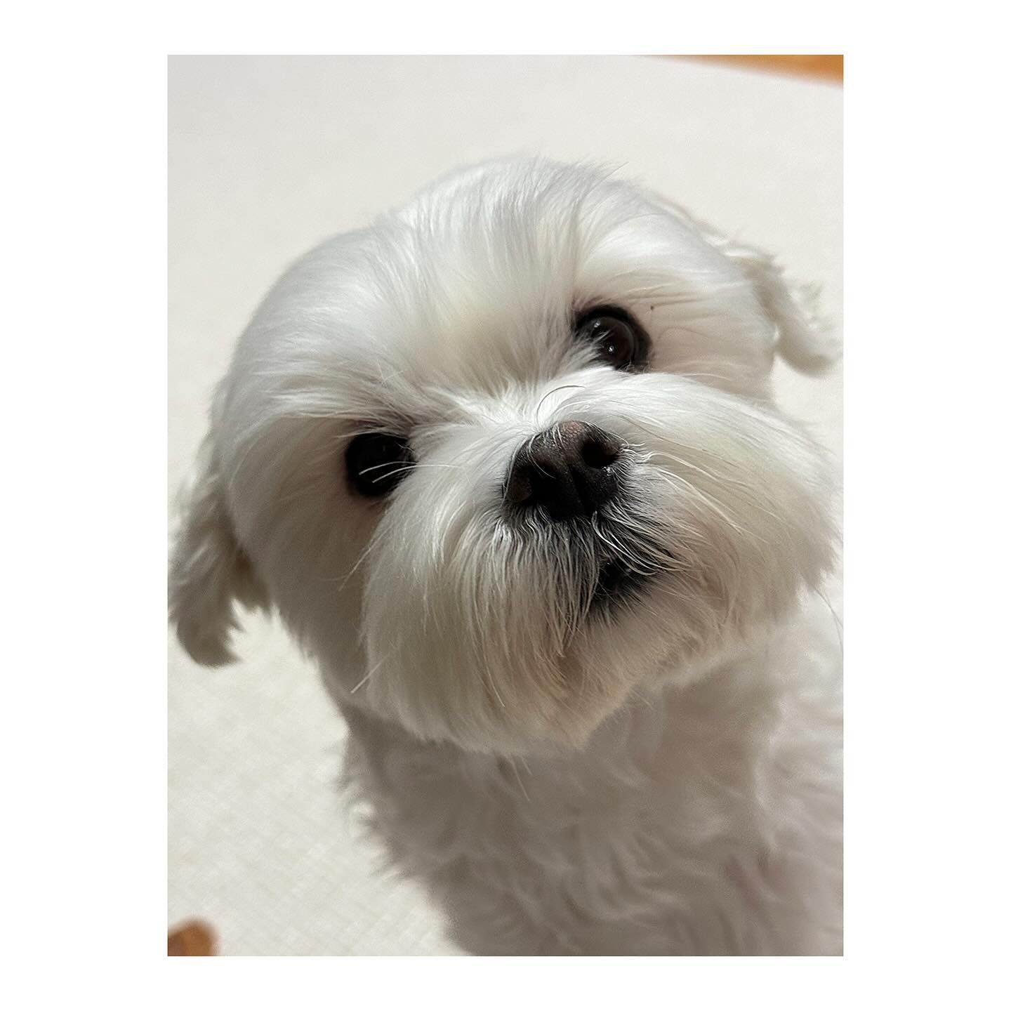 -
사랑해 내새끼❤️
-
나는 니가 너무너무 너무너무 좋아😍😍😍
