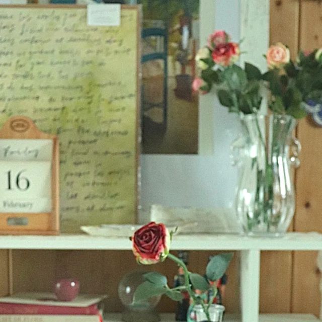 푸드인플루언서 호랑 | 홈쿡•홈브런치•집밥•플레이팅 on Instagram: "협찬 | 단호박스프파스타 화이버파스타 펜네파스타 단호박스프 스프파스타 아침식사 팬트리에서 단호박스프를 발견해