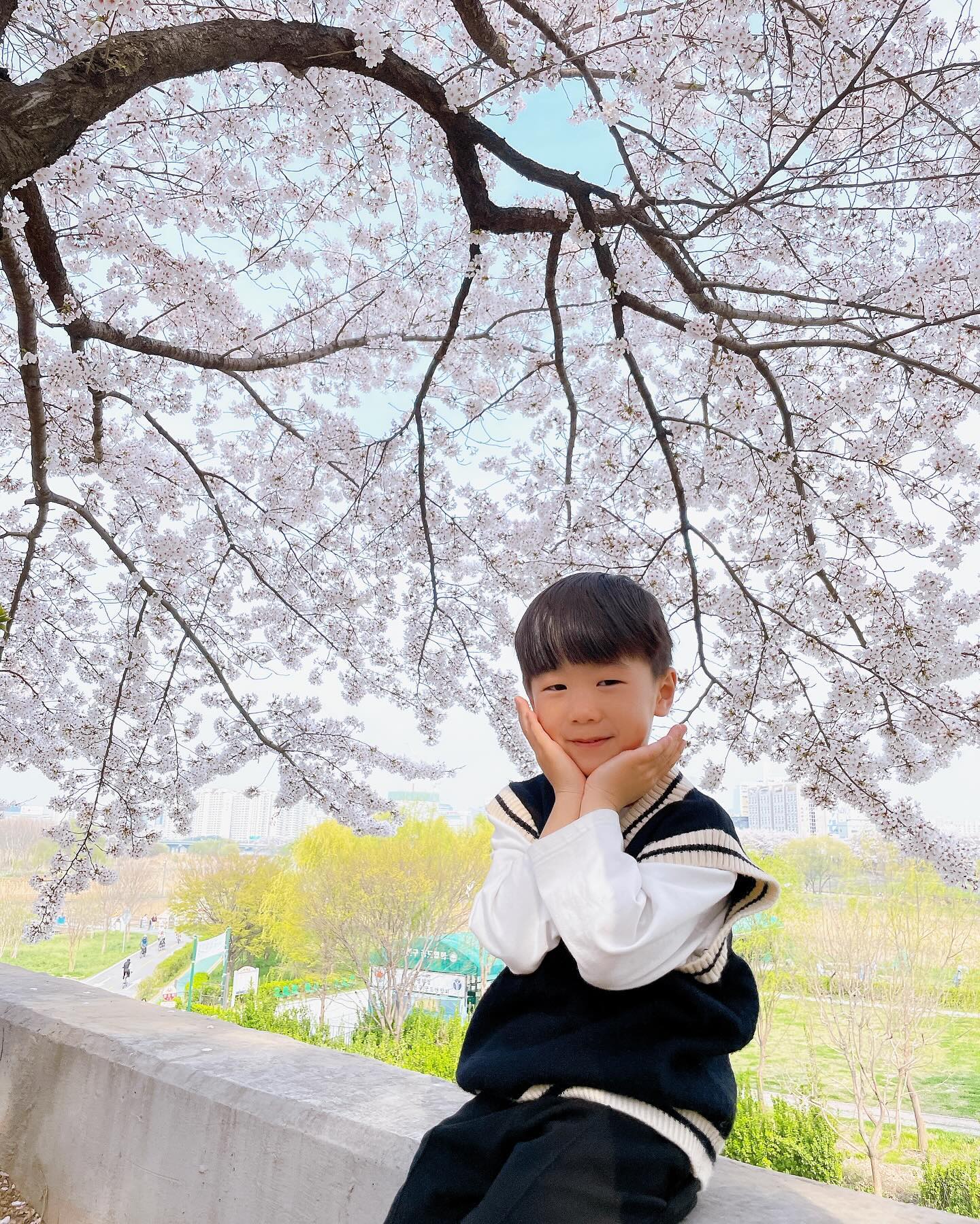 올해도 벚꽃구경은 #안양천벚꽃길🌸