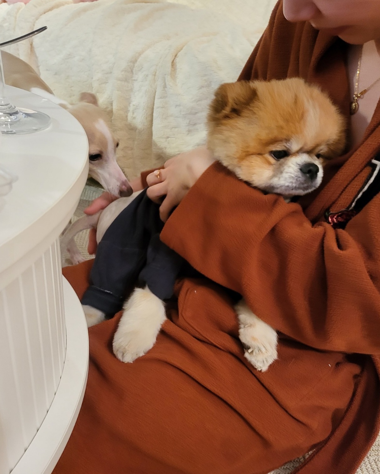 🐻이모, 이 길쭉한
친구 좀 어떻게 해봐…
내 돈꼬를 계속 노리자나🥹베무룩

표정에서 다 드러나는 우리 베베씨🤣
이렇게 잘 안 안기려고하는데 이날따라
엄마보다 이모 품 찾는중💕
귀여운것 둘이 있으니 이모는 너무 행복해❤️