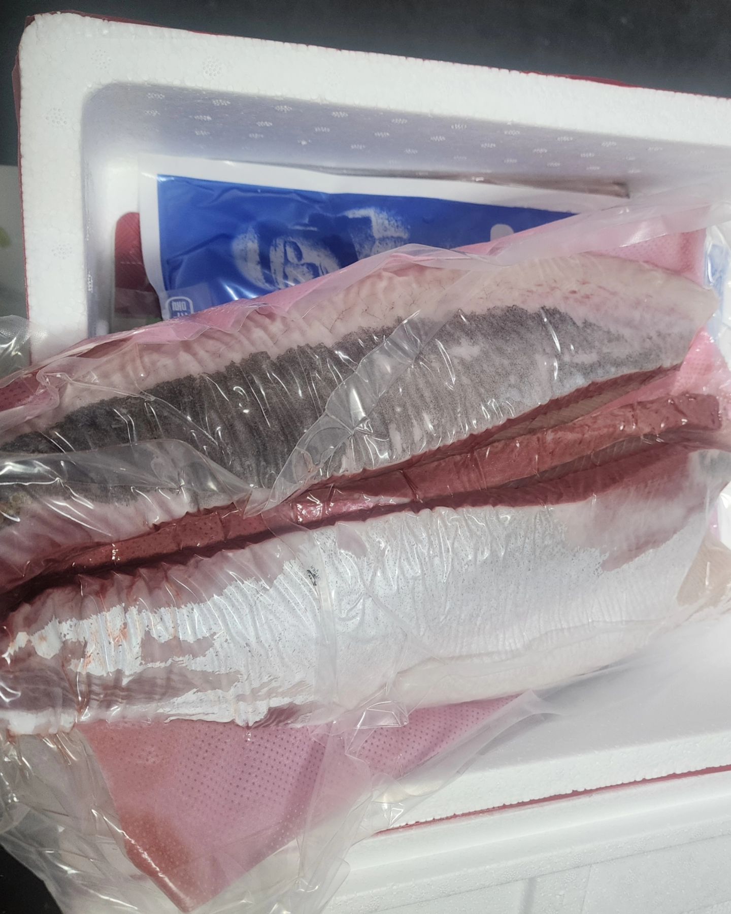 #방어회🐟 #싱싱한놈 #회떠먹기🐟