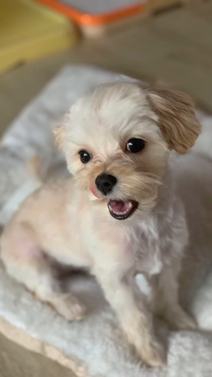 요래됫넹🩵🩶💜🩷💙🧡💚