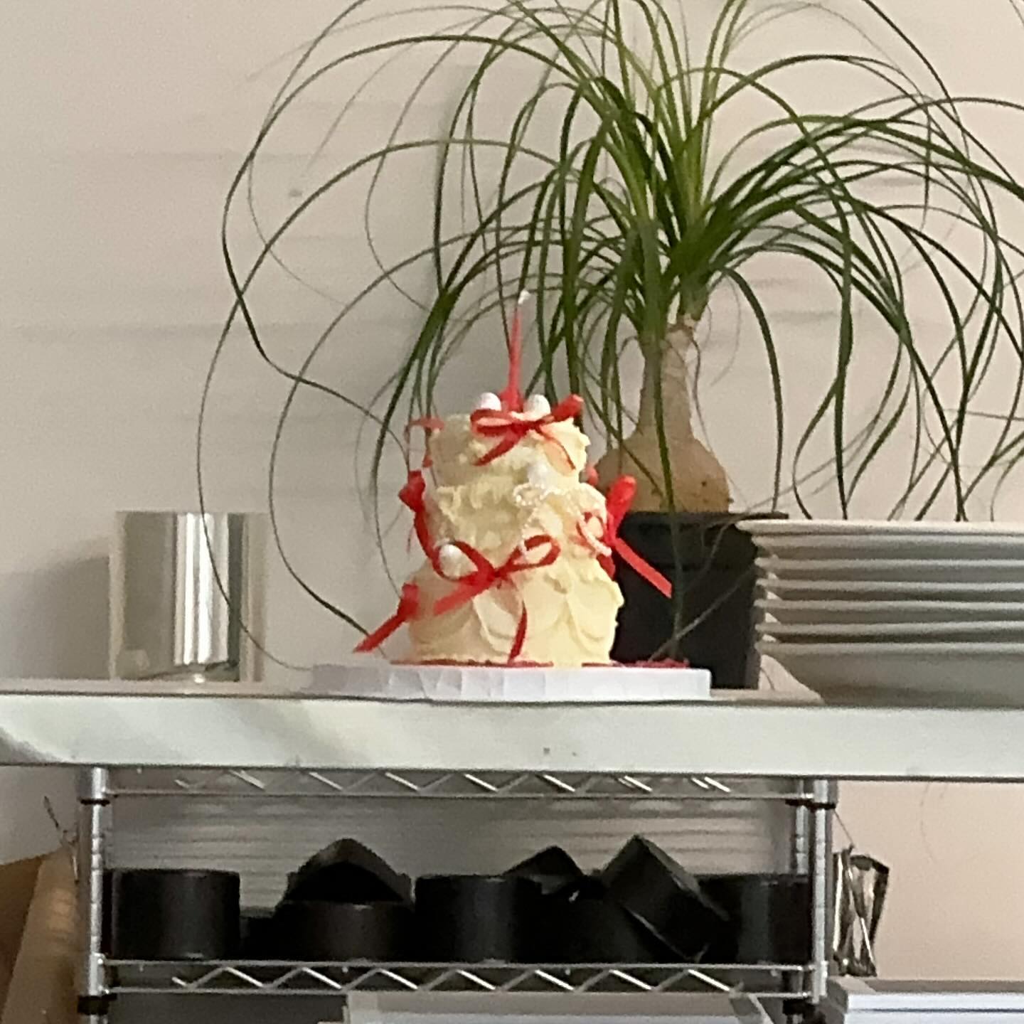 콘텐츠