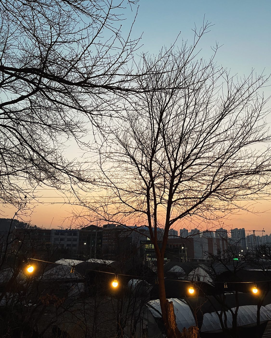 어제 저녁먹으러 나갔다가
노을과 나뭇가지가 너무 예뻐서 찰칵🤩

넘 예쁘죠^^
도심에도 예쁜 풍경이 가득합니다 ㅎㅎ

즐거운 화요일되세요~

#노을#저녁풍경#나뭇가지#소통#맞팔환영