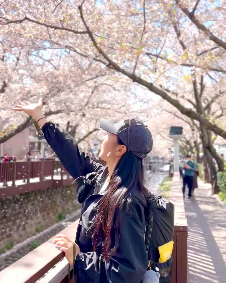 .

꽃가루를 날려🌸

#진해 #벚꽃 #진해군항제 #여좌천 #안민터널 #경화역 #원정산행 #장복산 #주말등산 #chaelee_mountain #20230402