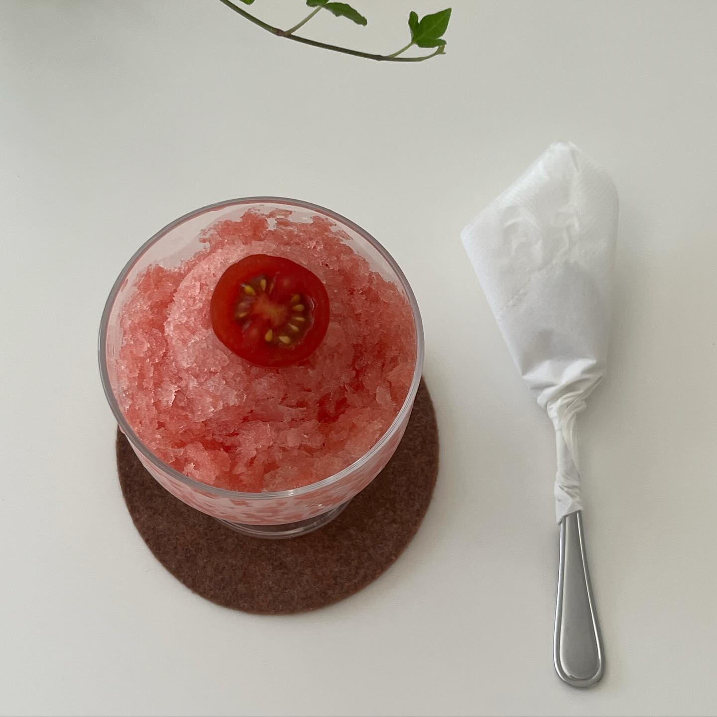 토마토🍅