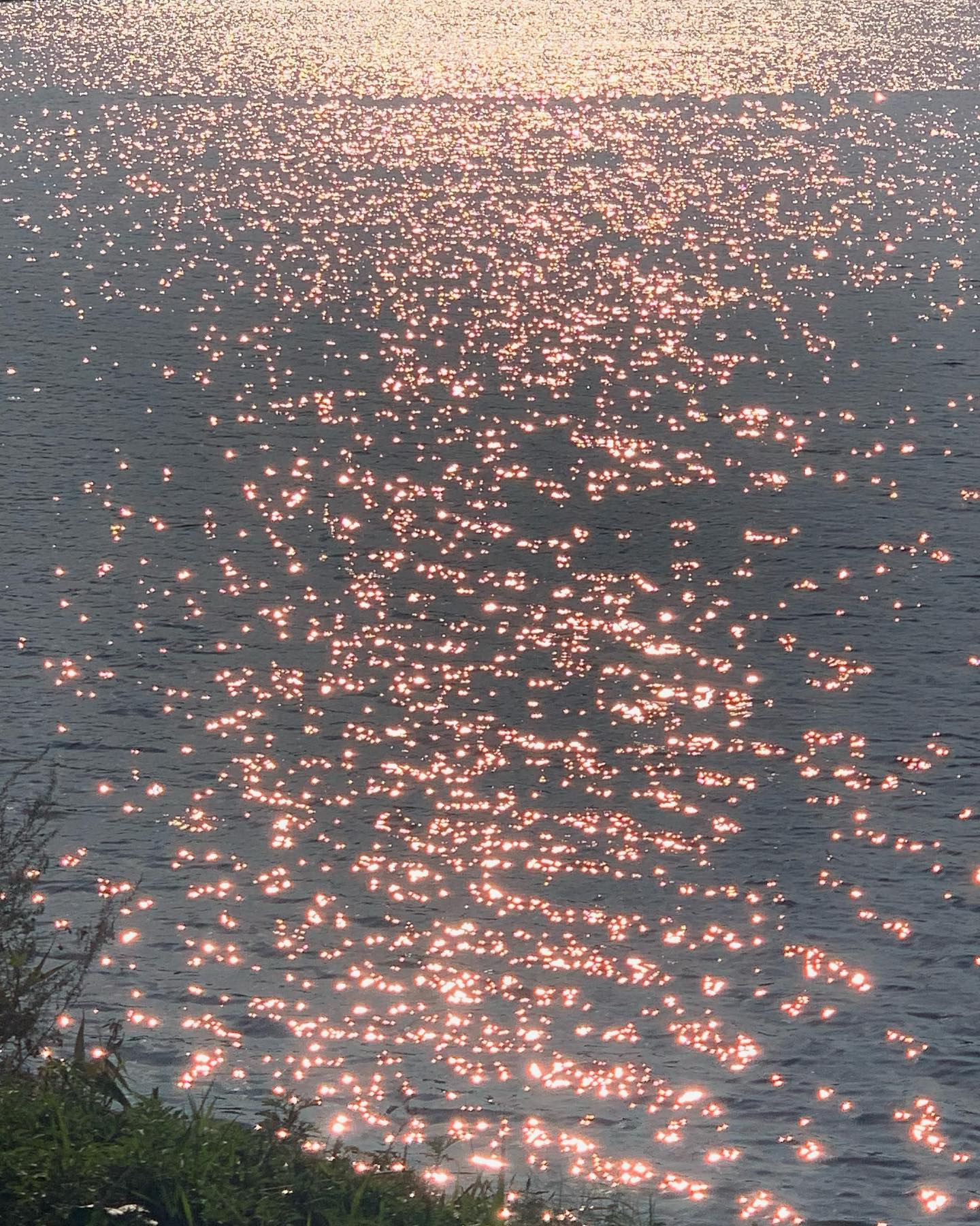 콘텐츠