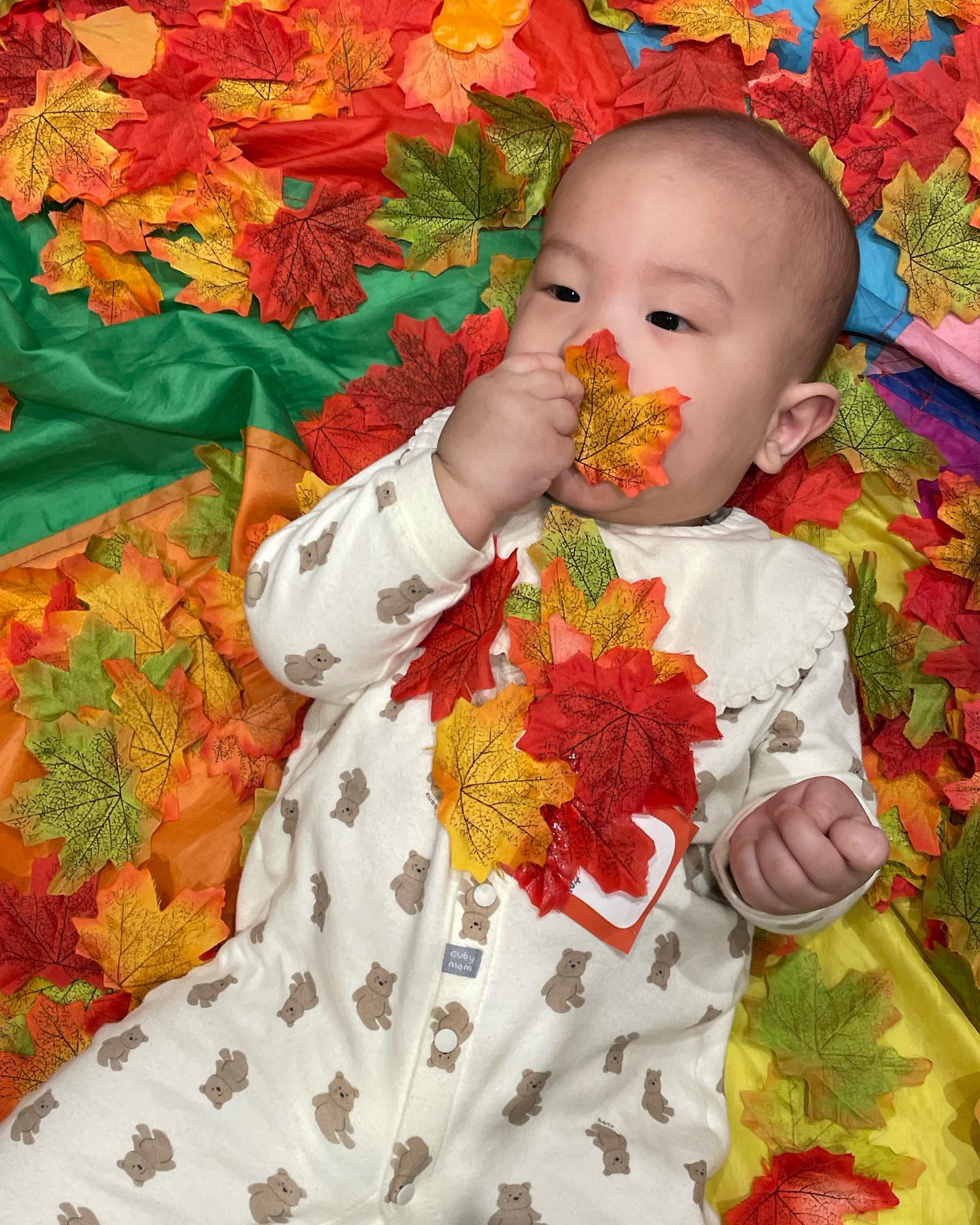 행복한 문센 시간🍂
옹알종알 친구들과 옹기종기 모여 한 컷 ! 너희들은 기억 못 하겠지만, 첫 칭구들이야아😆
이 와중에 이서에게 밀려 꾸겨진 찌우 눈이 귀엽네ㅋㅋ😆
사랑해 아기들아🎀🎀🎀