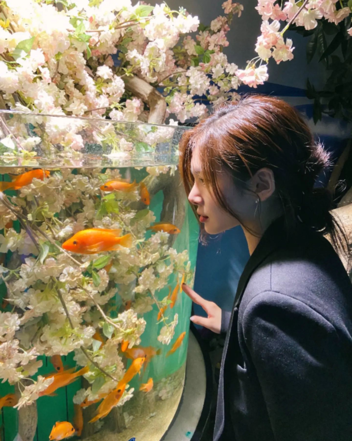 당근 맛 물고기