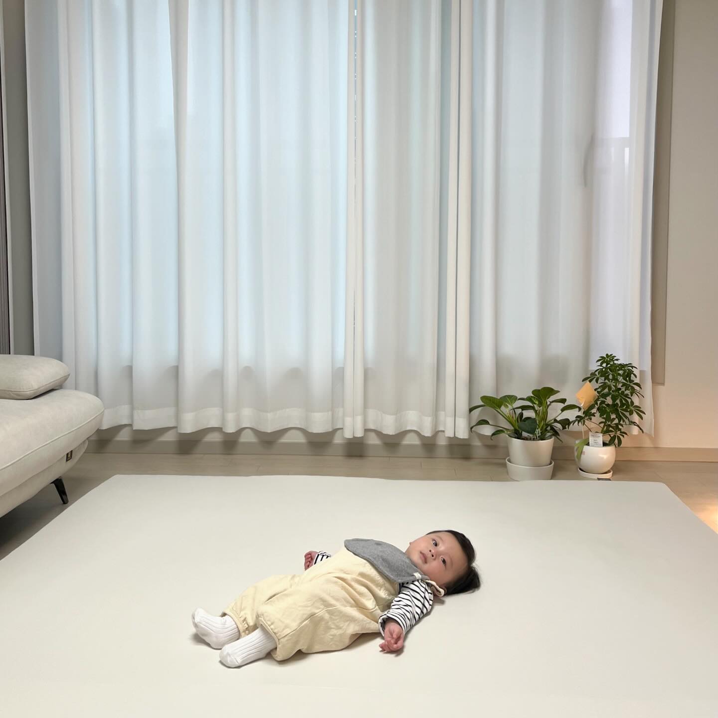 #무료제공
단 한장으로 넓고 깔끔하게 완성되는
층간소음 끝판왕 알집매트 더블제로매트 ꯁ

틈새가 없어서 청소도 편하고
기거나 걷는 아가들에게도 딱 !

다양한 사이즈가 있지만
저희는 200*240 사이즈로,
그리고 색상은 고급스럽고 깔끔한 느낌이 드는
바닐라밀크 색상을 선택했어요

내장재 2개와 겉커버 1개로 엄마들도 간단하게
설치할 수 있는알집매트 더블제로매트
국민육아템 추천드려요 ◡̈ 

#알집매트 #특허받은알집구조 #거실매트 #유아매트 #아기매트 #층간소음매트 #아기방꾸미기 #아기가있는집 #놀이방매트 #국민매트 #더블제로매트 #알집더블제로매트