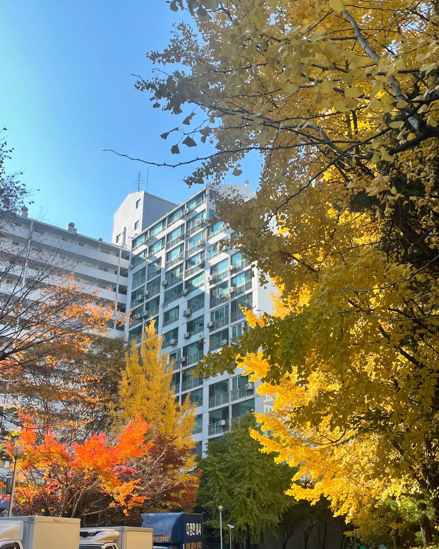 가🍁을🍃