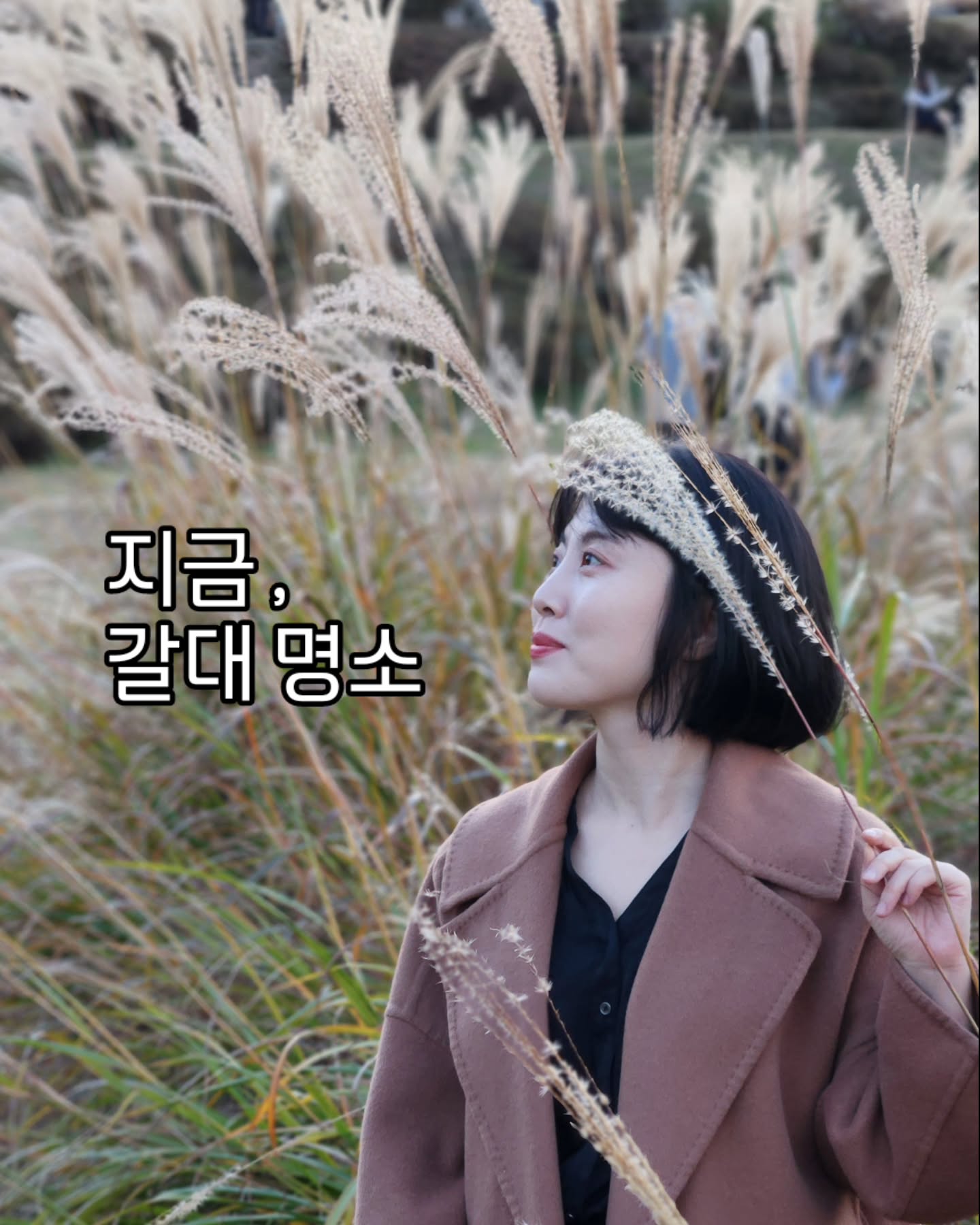 📍경기 수원시 장안구 영화동 320-2
#수원 #수원화성 #수원데이트 #수원가볼만한곳 #수원여행 #여행 #갈대 #갈대밭 #갈대숲 #방화수류정