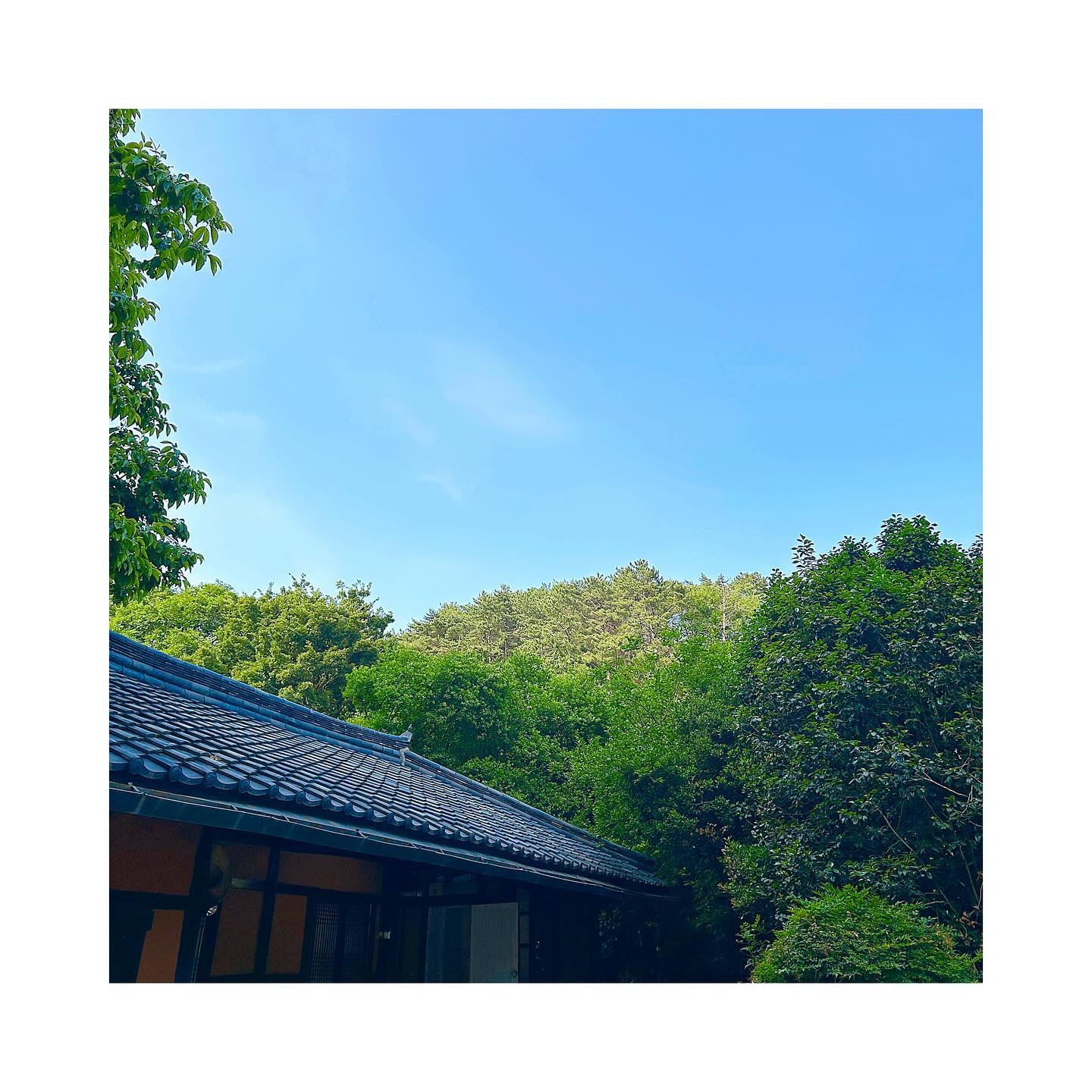 :)
__
[ 오늘 하루 요약 🌿 ]

1 : 날씨가 너무 좋아서 시부모님 모시고 점심 먹으로 🌱☘️🍀 

2 : 우리가족들만의 단골 오리고기집! 불고기 먼저 먹어주구요 🦆😋 

3 : 아버님 어머님과 시원하이 쏘맥 ' 한잔 쨘 - ㅉㅑㄴ 🍻

4 : 오리백숙도 빠질 수 없찌 !!!! 저는 불고기보다 백숙이요오 🙌🏻 

5 : 와 ... 오리 다리크기 시롸 ??? 아버님과 오빠 몸보신 하세요오 - ♡ 

6 : 아울렛 구경 갔다가 어머님 운동복 / 운동화 도 선물로 사드렸쏘요 🤭

7 : 집에 오니 이벤트 제대로 해놓으신 공주 🤯 아오 혼낼수도 없고 ....

8 : 그래도 혼자 오래 기다렸으니 야채특식 줄께 공주야 .. ㅎ 🥦🥬

9 : 불토 야식은 쏘주 에 닭발이지 !!! 🔥❣️ 내 입으로 드루와아 !!!! 💗 

＊┈┈┈┈＊┈┈┈┈＊┈┈┈┈＊┈┈┈┈＊┈┈┈┈＊┈┈┈┈

오늘 하루 밥먹고 쇼핑 한 거 밖에 없는데 , 시간이 후딱 가더라구요 ㅎㅎㅎ

루비는 혼자 오래두면 한번씩 벽지를 뜯어놓는 .. 하 .. 답이없네요 .. 하하 

야식 안먹을랬는데 불토를 끝내기 아쉬워 닭발을 시켰어요 .. ㅋㅋㅋㅋ♥ 

울님들께서는 불토 잘 보내셨나용?! 닭발 먹으며 구경가야지이 🤪💕 

아! 내일은 비가 많이 온다하더라구요! 나가실 때 우산 챙겨 나가세요오 ☔
