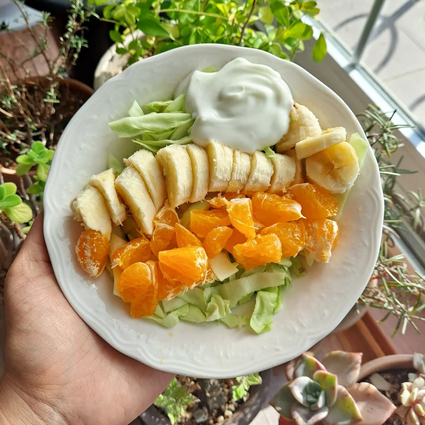#바나나 랑 #양배추

넘 잘 어울리잖아!
완전 맛있자나!

바나나가 달달구리한게
따로 소스없어도 넘 맛있당🍌

#하루한끼 #샐러드 #salud #banana #🍌
#맛있다그램 #간단한끼 #주말식단 #V
#귤 #초록초록 #초록샐러드 #🥗