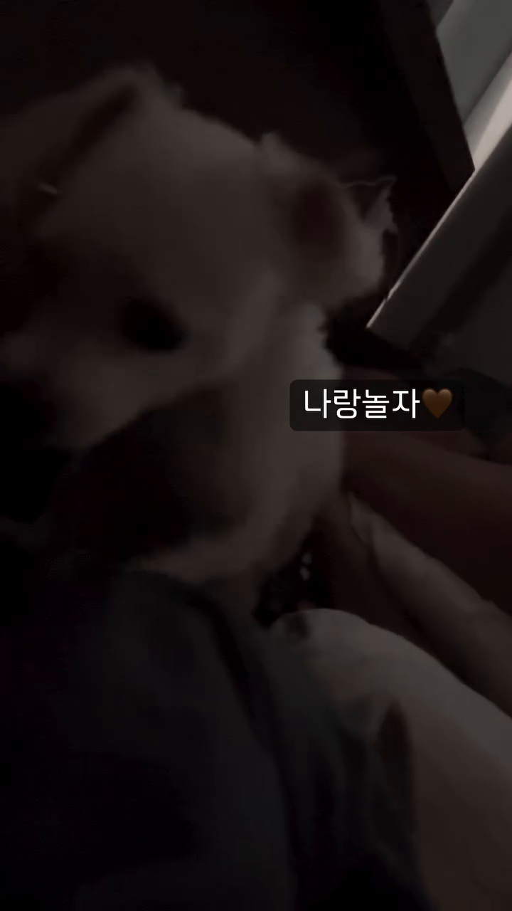 주말에도 늦잠을 못 자는 이유😇