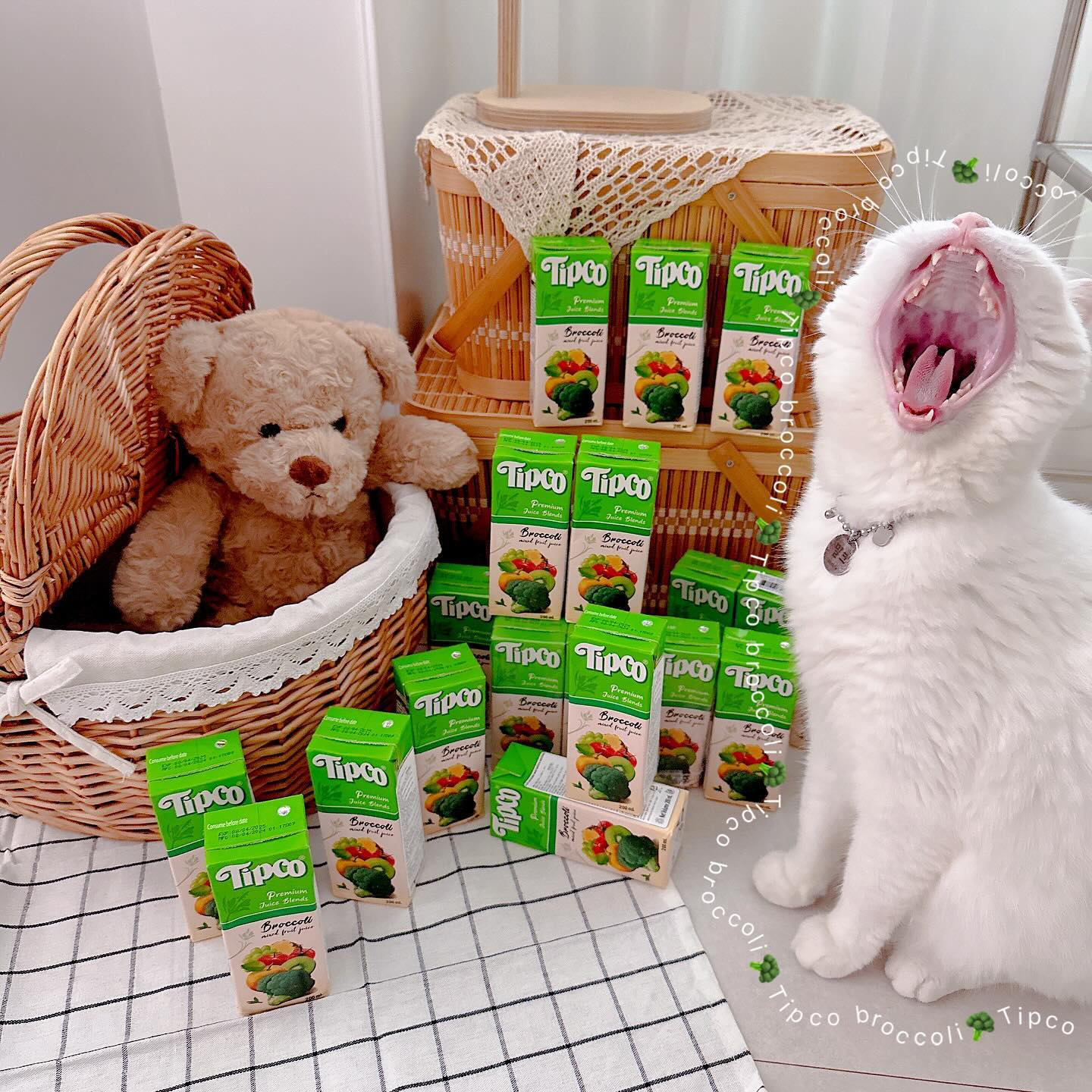 ᰔ #제품제공 
:) 밀크 하품하는거에요🐾🤣 무서운표정아님주의!

엄청 더워서, 가을이 언제오나싶었는데! 주말사이에,
이렇게나, 가을가을해지다니요🍂

팁코 9월의 주스는 브로콜리주스에요🥦

팁코 브로콜리주스는,
타임지가 선정한 슈퍼푸드 브로콜리와
각종 천연과일을 팁코한팩에 담았어요🙌🏻
과당, 착향료, 보존료 함유량이 0%로
어린아이와 임산부도 인공 첨가물 걱정NO🖐🏻
브로콜리하면, 싫어할수도 있지만!
맛없고 먹기 힘든 브로콜리의 편견을 깬 반전 주스로
한번 먹으면 자꾸 먹게 되는 맛있는 건강주스에요😋
브로콜리 특유의 쌉싸름한 맛이 아닌 맛좋은 과일을 혼합하여 상큼한 맛으로 야채를 싫어하는 아이들에게도 인기만점이랍니다!

브로콜리 좋은건 다들아시죠?!
항산화 성분이 풍부한 세계 10대 슈퍼푸드로,
눈 건강에 좋은 루테인 함량이 놓고,
브로콜리에는 위장건강에 좋은 비타민 U가 풍부해서,
속쓰림 완화 및 위장건강에 도움을 줄뿐아니라,
저칼로리에 섬유질까지 풍부해 포만감 유지에 도움을 주기때문에 체중유지 및 다이어트하는 분들에게 적극 추천해요!

🏷️ tipcojuice

.
.
.
#팁코 #팁코주스 #브로콜리주스 #브로콜리 #프리미엄주스 #반전주스 #음료추천 #추천템 #세계3대건강주스 #쿠팡주스 #tipco #반려묘일상 #하품하는고양이 #냥이일상