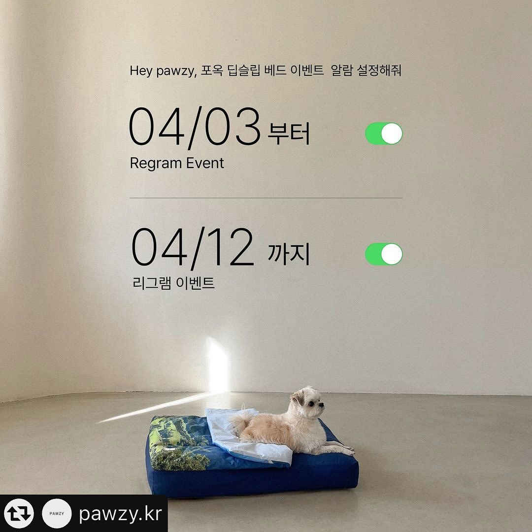 #리그램 - pawzy.kr by get_multi_repost
리그램 이벤트

포지의 포옥 딥슬립 베드 런칭을 기념하여 리그램 이벤트 진행합니다!

이런 반려동물 침구는 처음 보시죠?

포옥 딥슬립 베드는 자연의 색상과 원리를 담아 반려동물의 편안함 증대는 물론, 인테리어 오브제로도 훌륭한 역할을 하는 반려동물용 침구입니다!

사진 찍기를 좋아하는 모든 강아지/고양이들 참여 가능합니다!

📌 2024. 04. 03 (수) ~ 2024. 04. 12 (금) 자정

1. pawzy.kr 팔로우 후 본 게시물 좋아요❤️

2. 원하시는 컬러의 게시물을 스토리나 피드에 리그램
(포지를 태그해주셔야 확인 가능합니다!)

3. 원하시는 침구 컬러 / 우리 집 털복숭이에게 잘 어울리는 이유 / 함께 참여할 친구 소환 (많으면 많을 수록 좋아요!)

📌 2024. 04. 17 (수) 발표

- 포옥 딥슬립 베드 와일드 블라썸 (1명)
- 포옥 딥슬립 베드 스위스 브리즈 (1명)

🚩 이벤트 계정 및 비공개 계정은 제외되며, 팔로우 후 취소하는 계정은 추후 이벤트 참여가 어렵습니다.

우리 집 털복숭이와 보호자님이 사용하시는 공간이 더욱 풍성할 수 있도록 포옥 딥슬립 베드 어떠신가요?

#리그램이벤트 #팔로우이벤트 #이벤트 #소문내기이벤트 #펫테리어 #포옥딥슬립베드 #프린팅이불 #패브릭포스터 #집꾸미기 #방꾸미기 #강아지침대 #강아지쿠션 #강아지마약방석 #강아지베드 #강아지소파 #강아지집 #강아지사각침대 #고양이침대 #고양이쿠션 #고양이마약방석 #고양이집 #고양이숨숨집