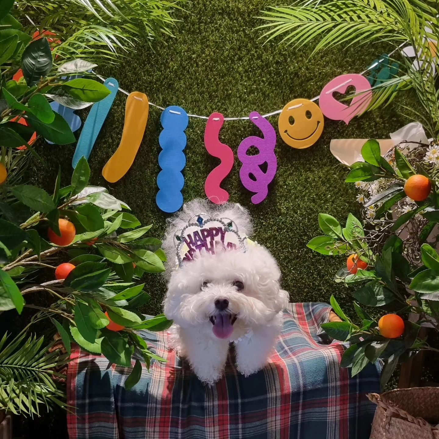 -
세리생일겸 엄마생일겸 밥머꾸와따🎂
신나 신나~
.
.
#커들 #수원애견동반식당
#수원스테이크맛집 #수원애견동반