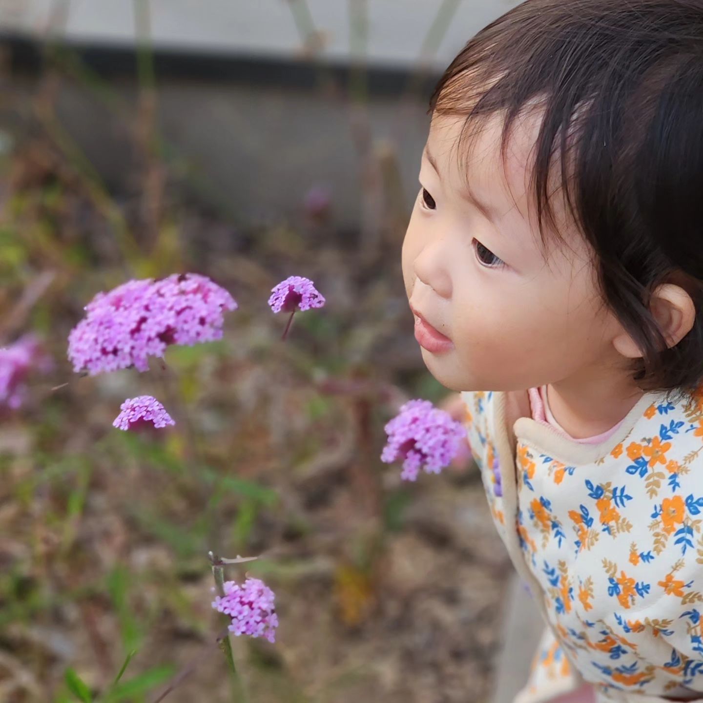 예쁜 꽃보다 더 예쁜 너 🌺