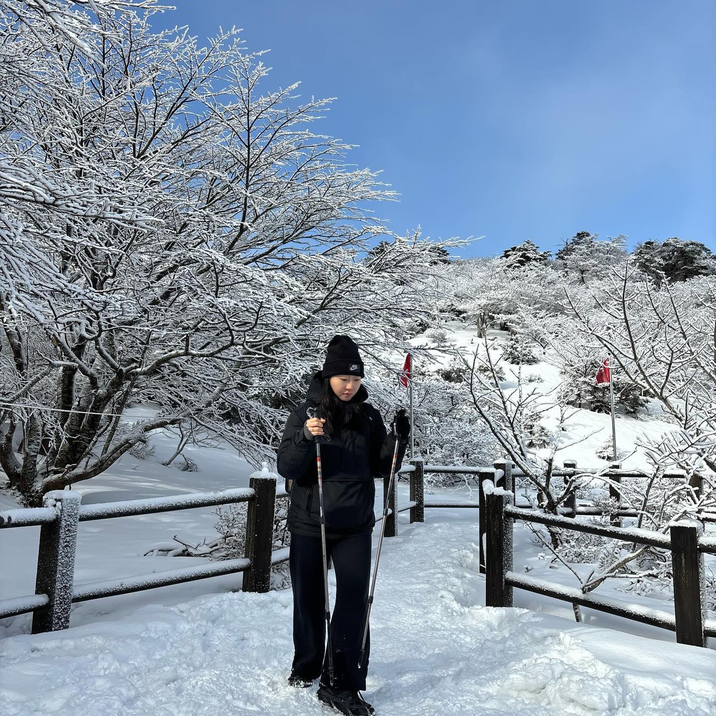 겨울 제-대로 느끼고 돌아갑니다 라산씨🗻
작년에 이어서 두번째 설산 등반 성공! 
매번 계획만하고 못오다가 드디어 왔는데, 날씨랑 눈치게임 실패;;
오히려 좋아 이 핑계로 또 보자 한라산
등정 인정서 받으러 가야하는데 담번엔 누가 같이 갈래?🙋🏻‍♀️