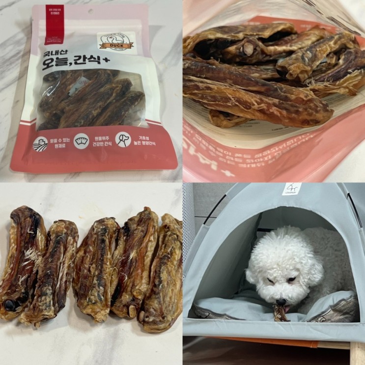 국내산 강아지 간식! 로얄펫라이프 국내산 오늘,간식 플러스 반려견 간식