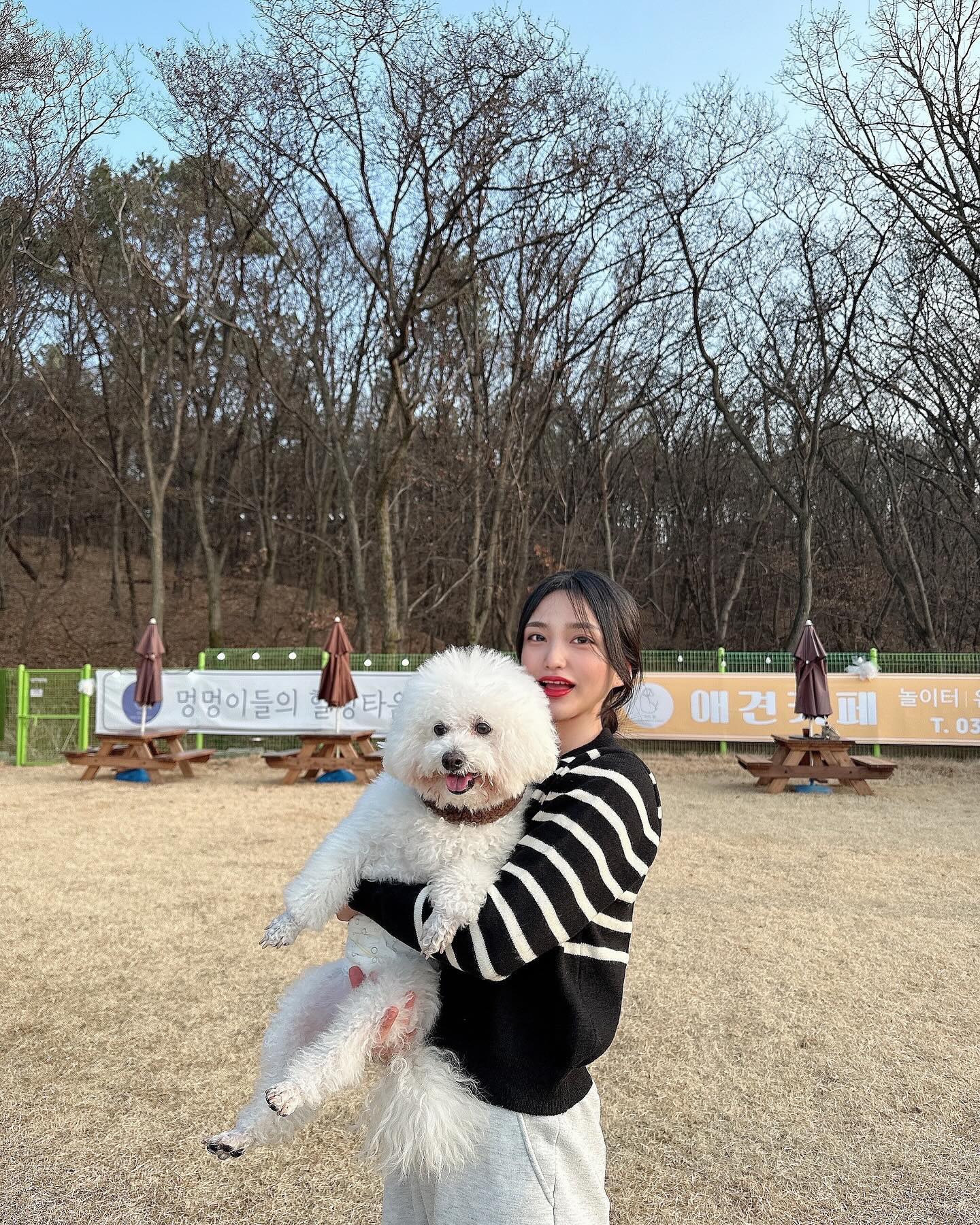 맛있는거 잔뜩 먹다가 연휴 끝 
새해 복 많이 받으슈 🧧🧧

#일산 #애견카페 #애견카페추천