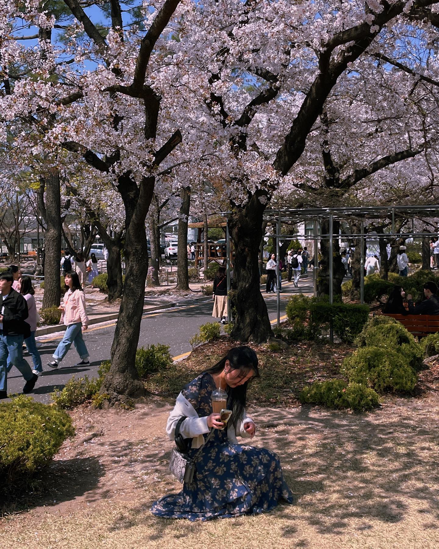 나v는v봄v이v정v말v좋v아v
나는vv봄이vv정말vv좋아vv
(야~~~!!🌸🌸🌸 함성 2초간)
