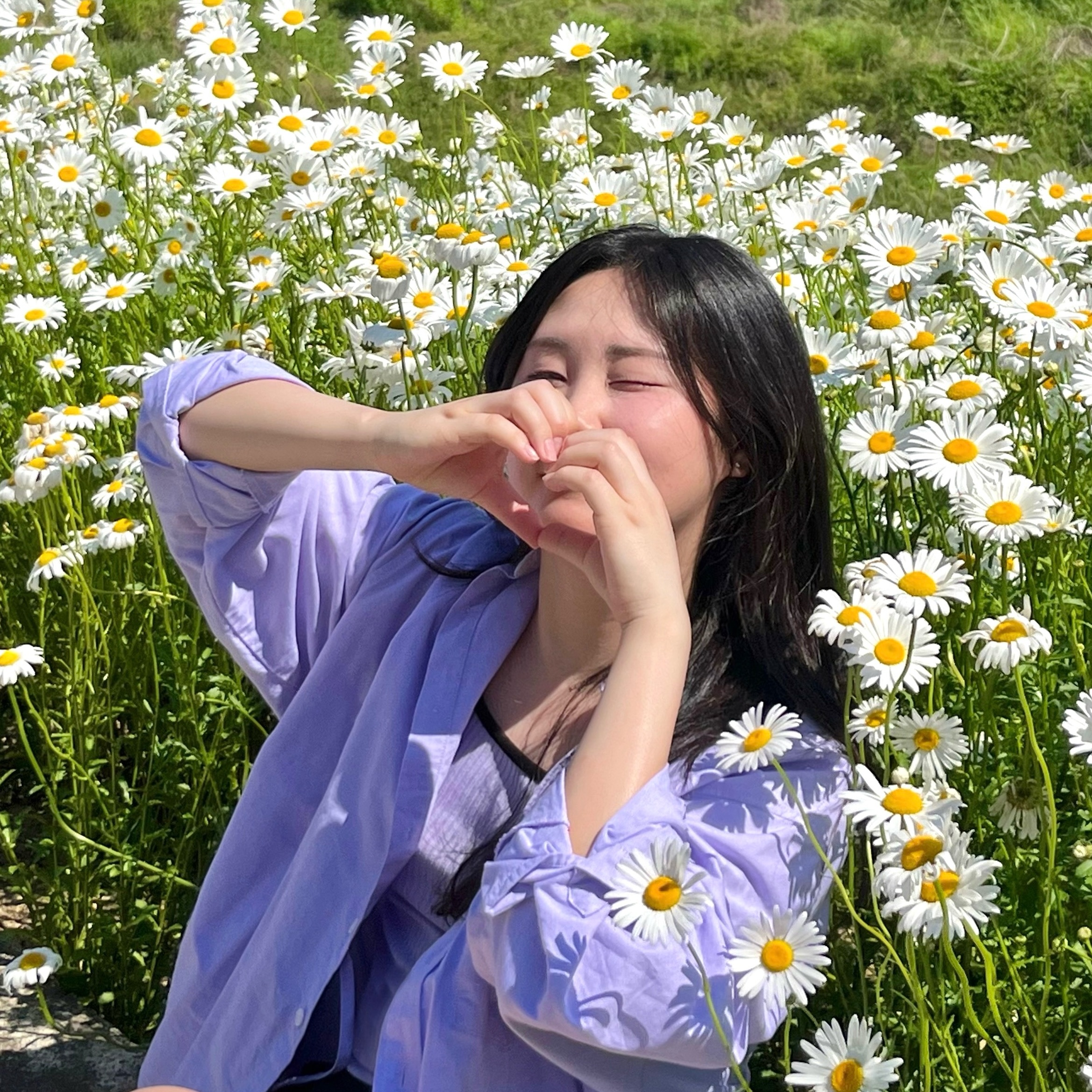사방에 활짝 핀 데이지🌼 찾아왔지 내 봄이 🤍💛