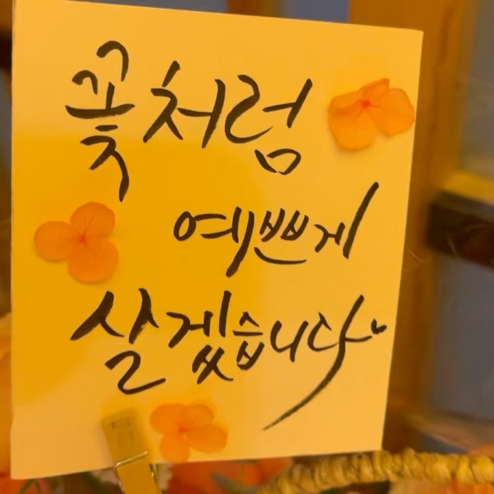 #협찬 상견례자리 화사하게 빛내준 꽃바구니
손글씨 써주셔서 <꽃처럼 예쁘게 살겠습니다>
문구와 함께 시부모님께 드리니 
너무 좋아하셨다♥️
덕분에 예쁨받는 며느리 등극✨

#플라워넷 #구로꽃집