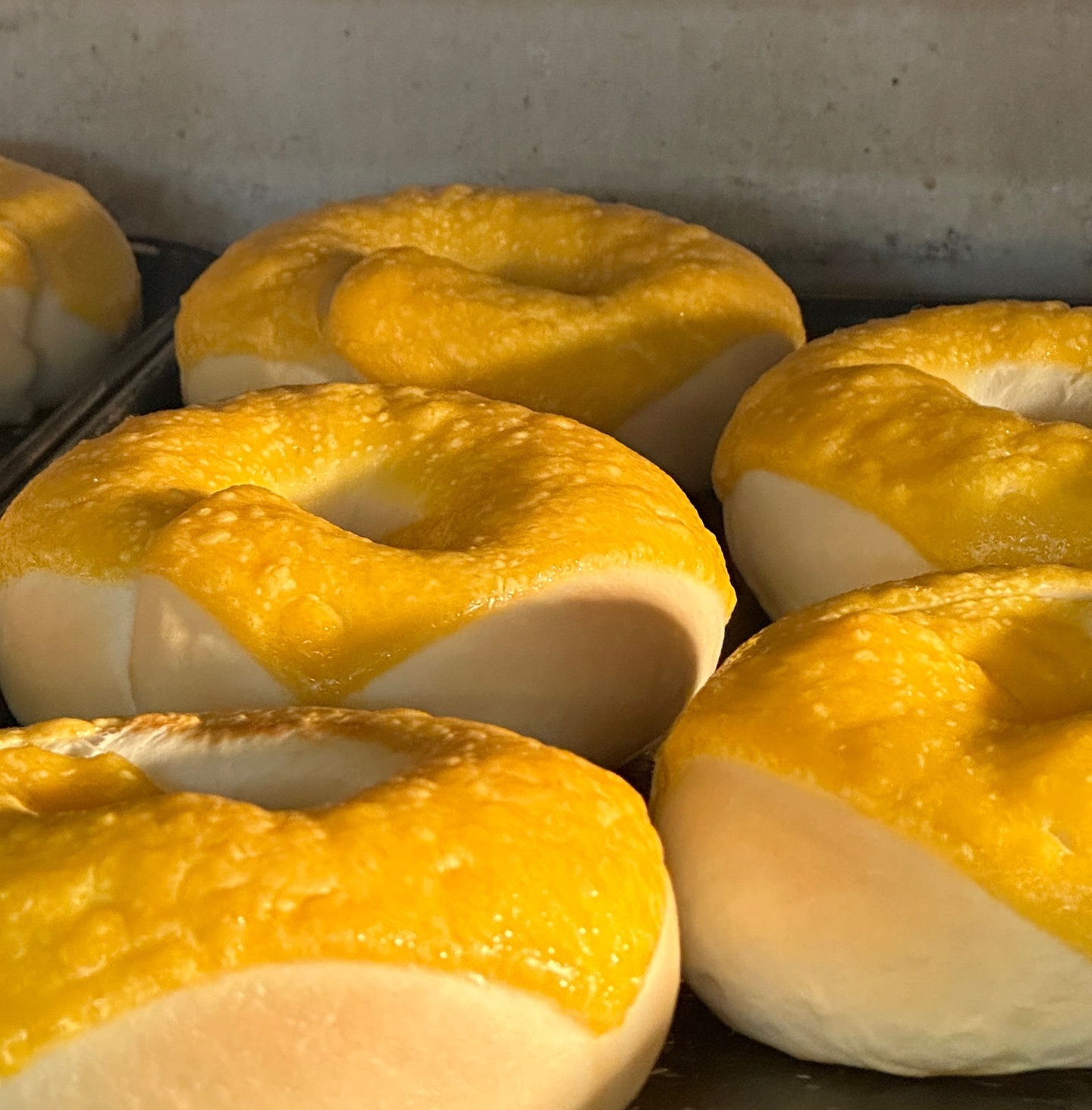 빵실빵실 치즈베이글🥯