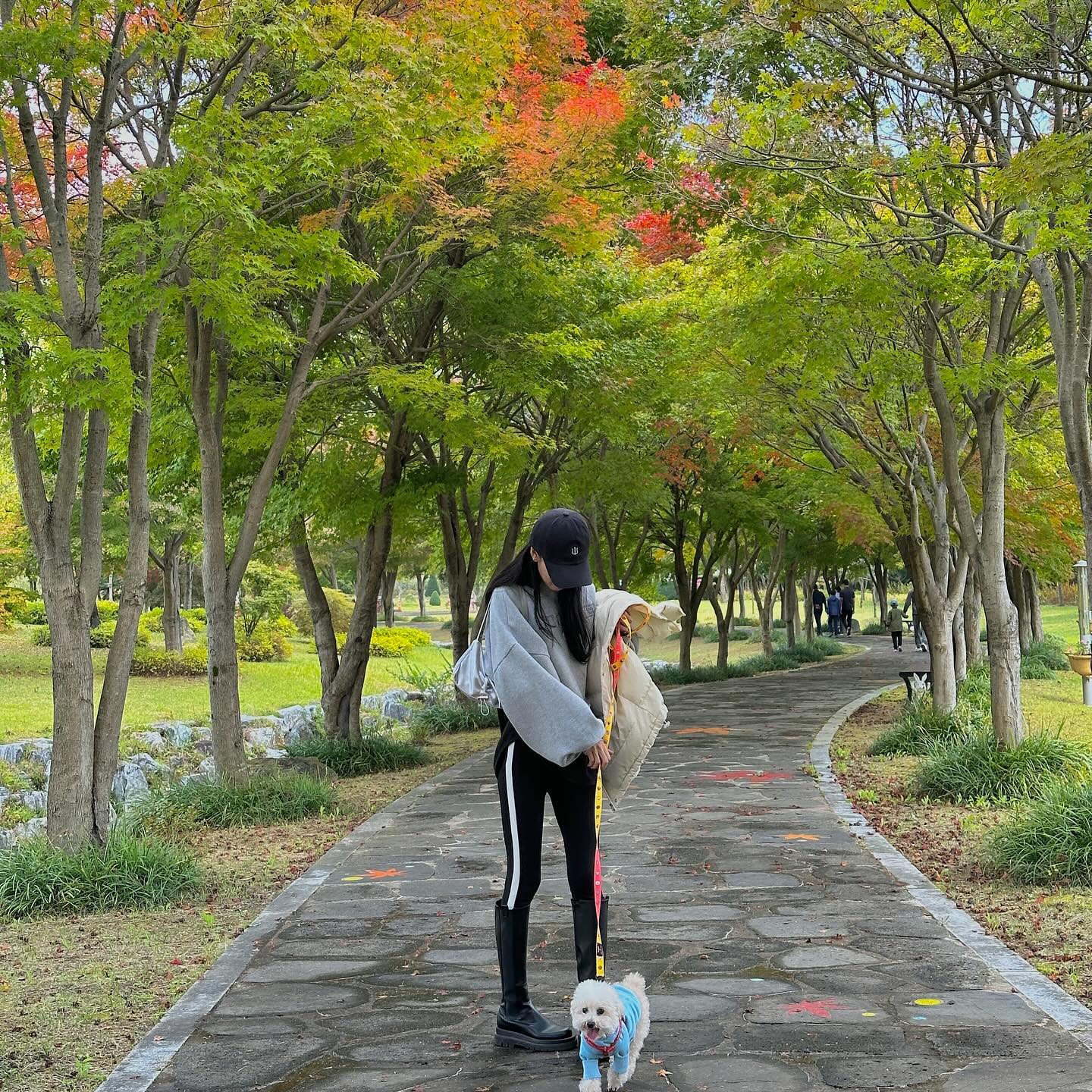 🍂