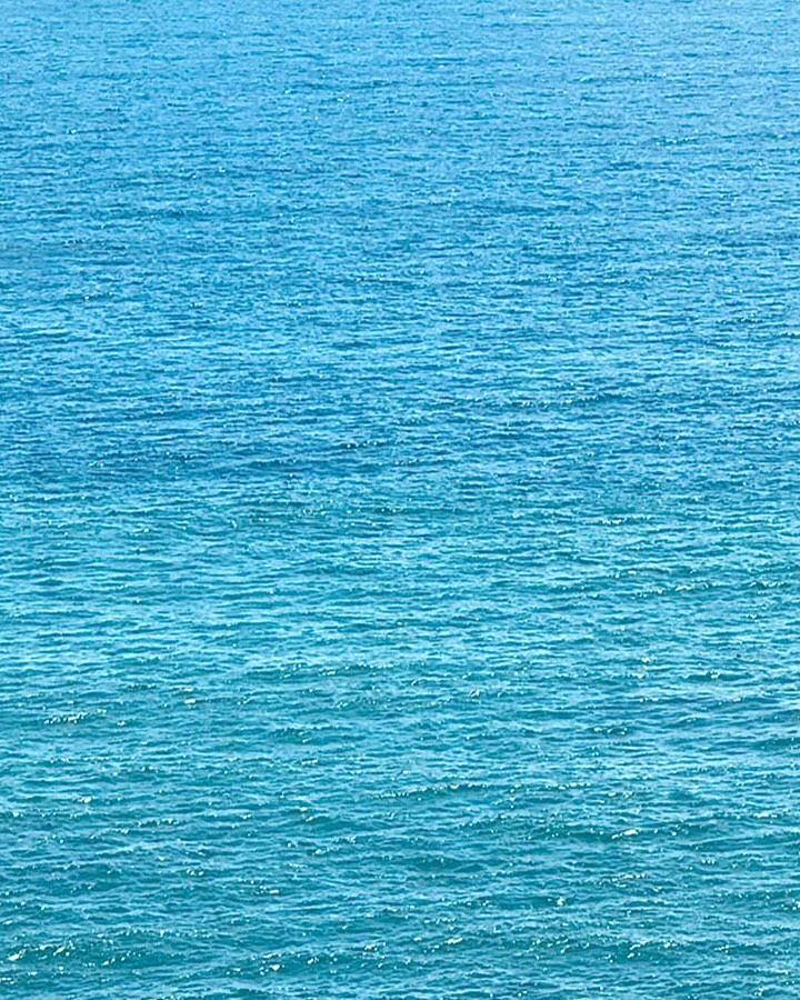 🌊