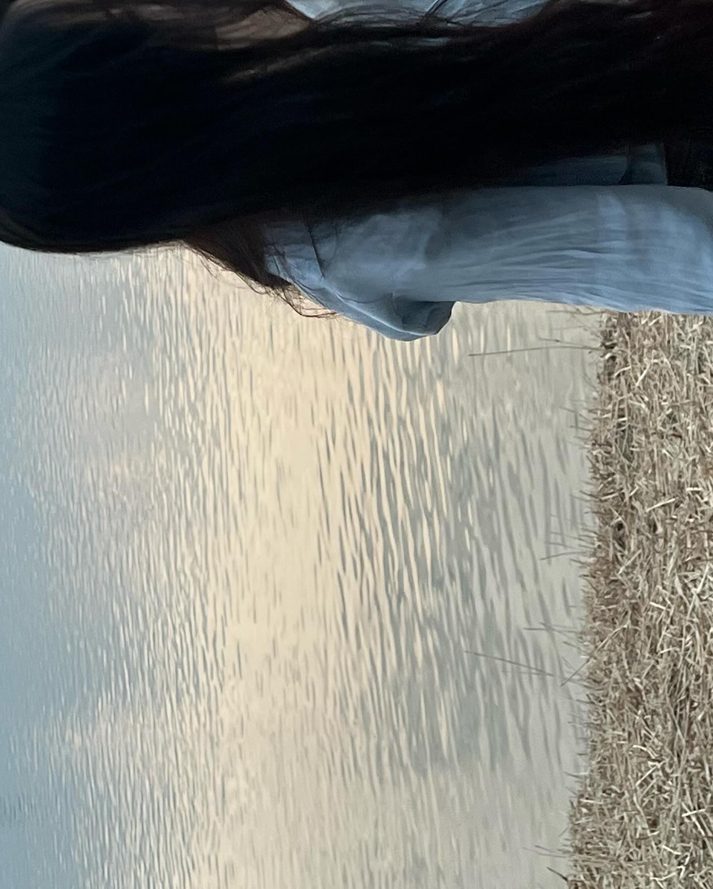 콘텐츠