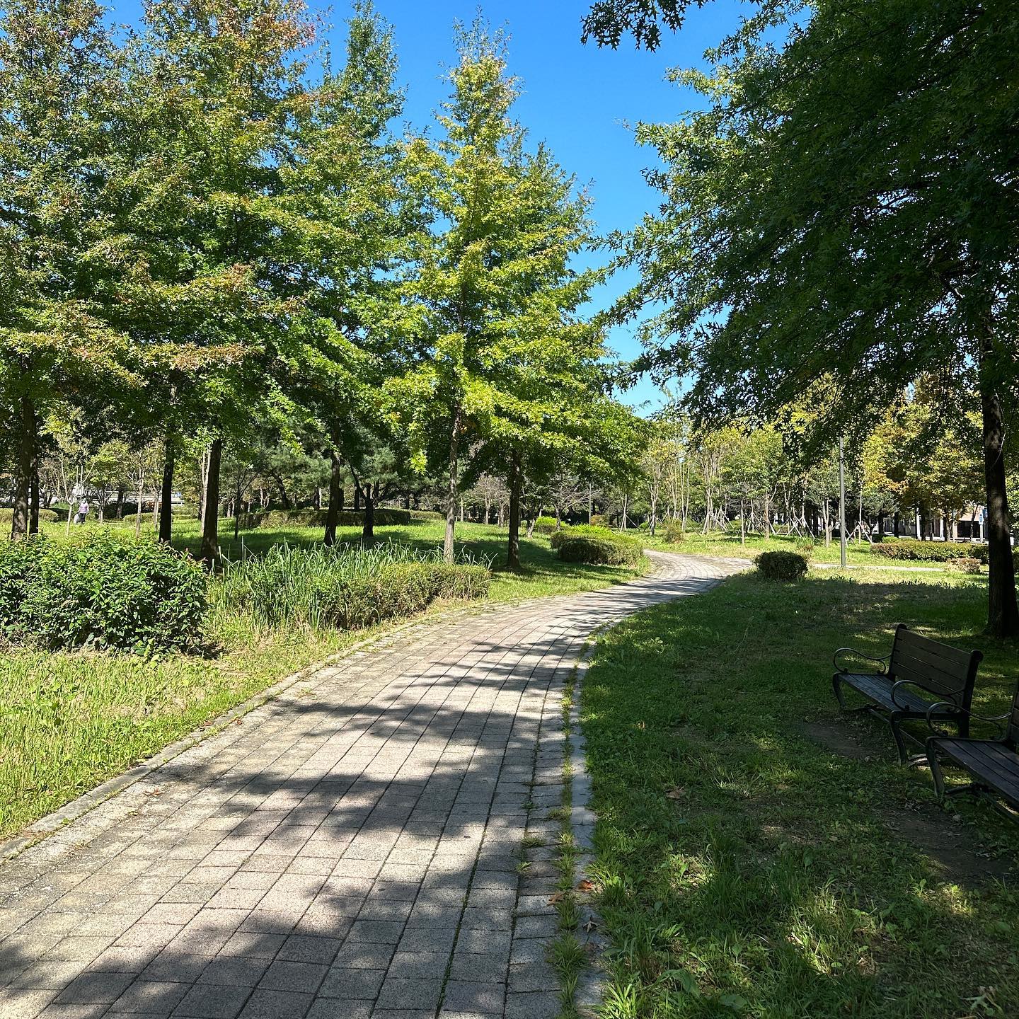 벌써 안산에 온지 1년반.. 두번째 가을 🍂