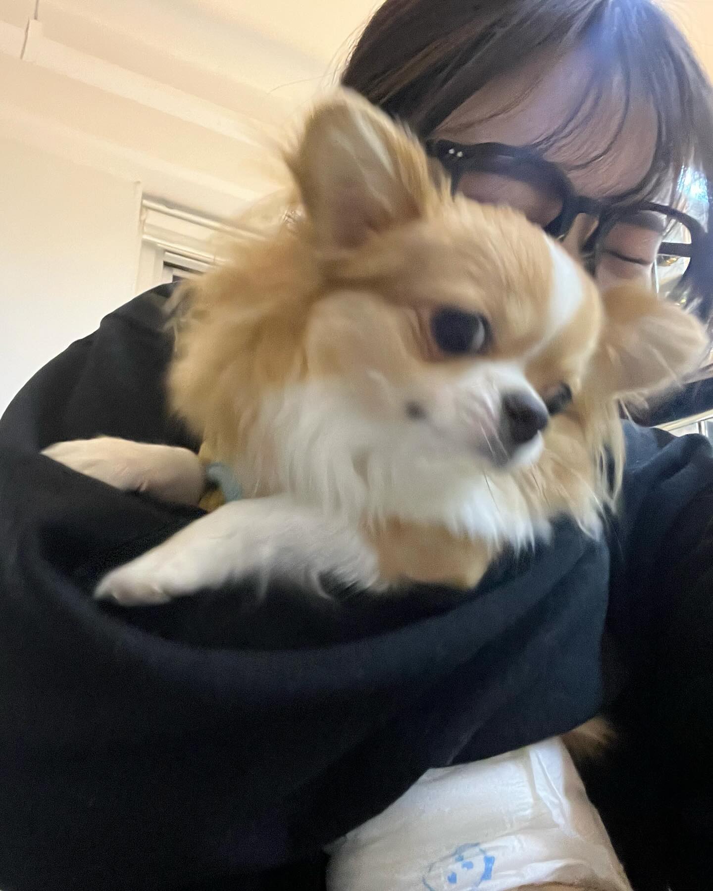 멍🐾