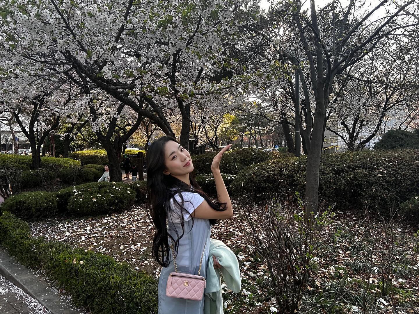 벚꽃 반지의 제왕🌸💍