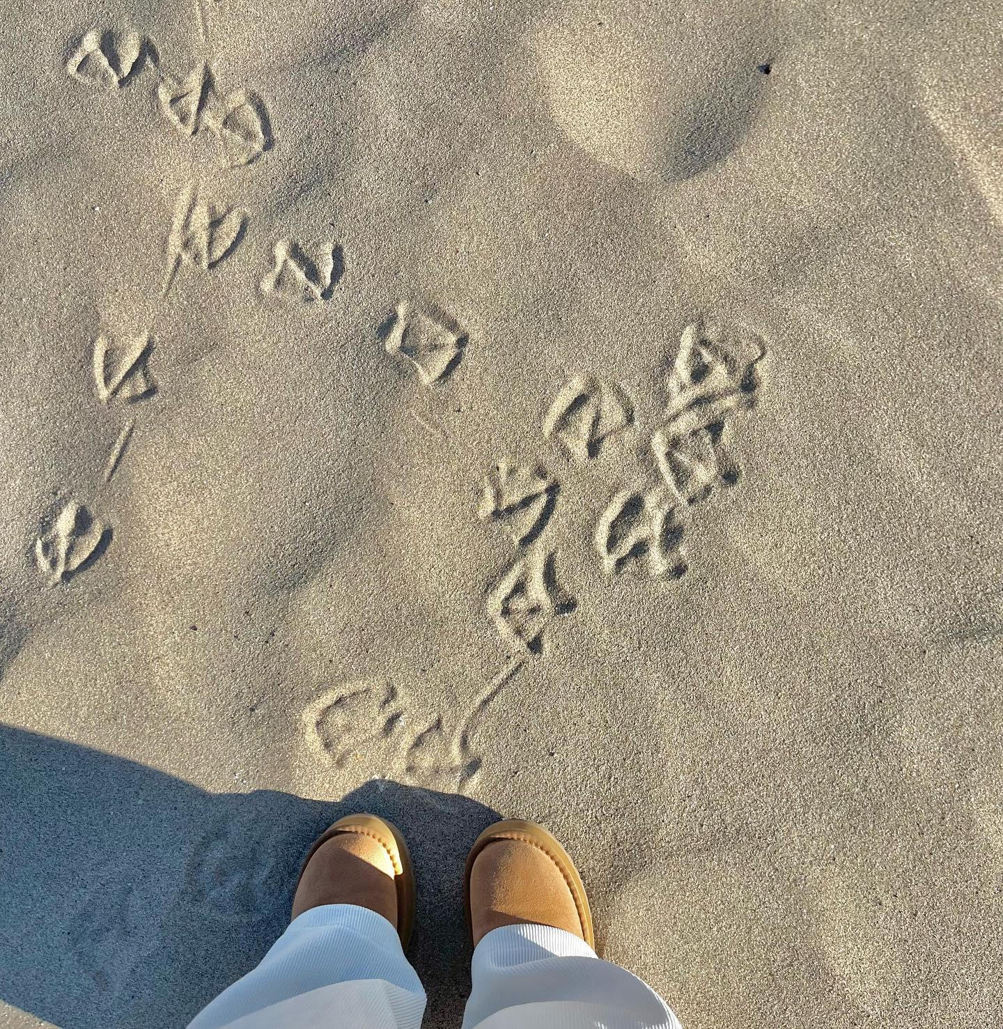 다음엔 안아픈 상태로 가기루 해,,🥹 (with. 큐트한 갈매기 발자국)