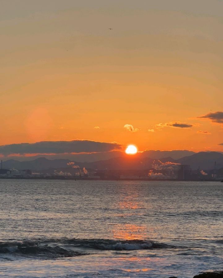 𝑯𝒂𝒑𝒑𝒚 𝒏𝒆𝒘 𝒚𝒆𝒂𝒓 🌅 *+:꒰◍•ᴗ•◍꒱:+*