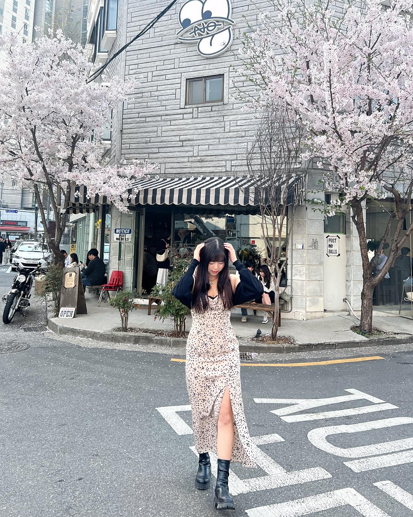🌸🌸🌸
