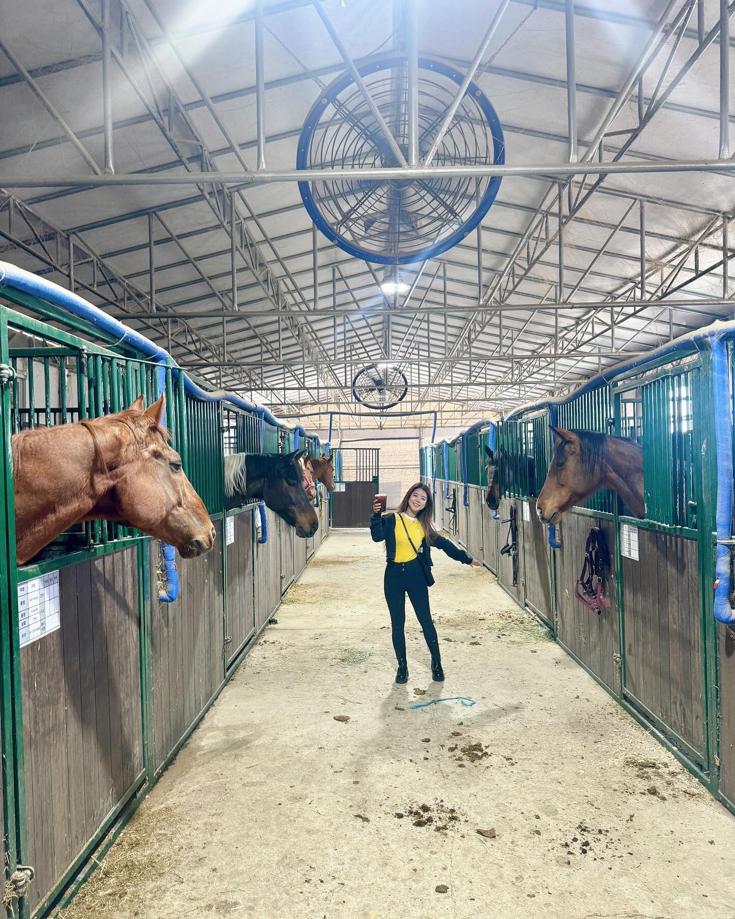 너무 귀여운 말들🐴
.
.
.
.
.
#말스타그램#말#승마장#승마스타그램 #마구간#귀여워#일상#데일리#취미#취미스타그램#취미생활 #horse #주말언제와#김포#김포승마장 #좋반#daily #애니홀스_승마바지