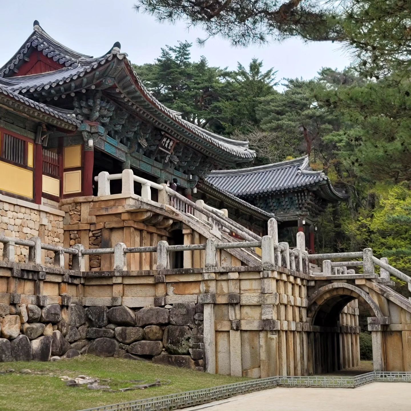 색감이 다 너무 마음에 든다
마음에 쏙 든 사진들

#경주여행 #불국사 #너무좋음