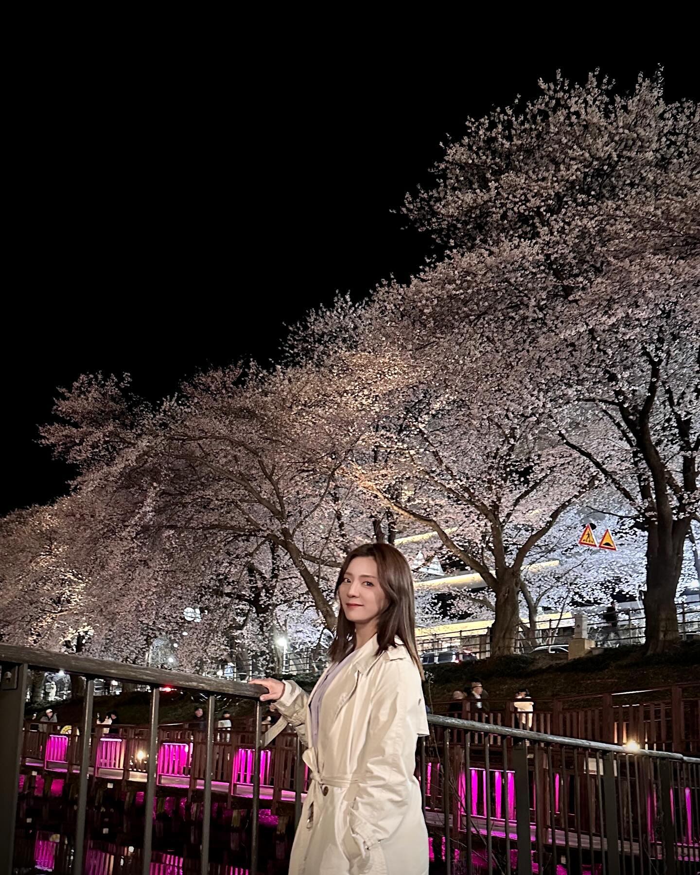 벚꽃놀이 시작 🌸
밤벚꽃 느낌있댜🫶🏻