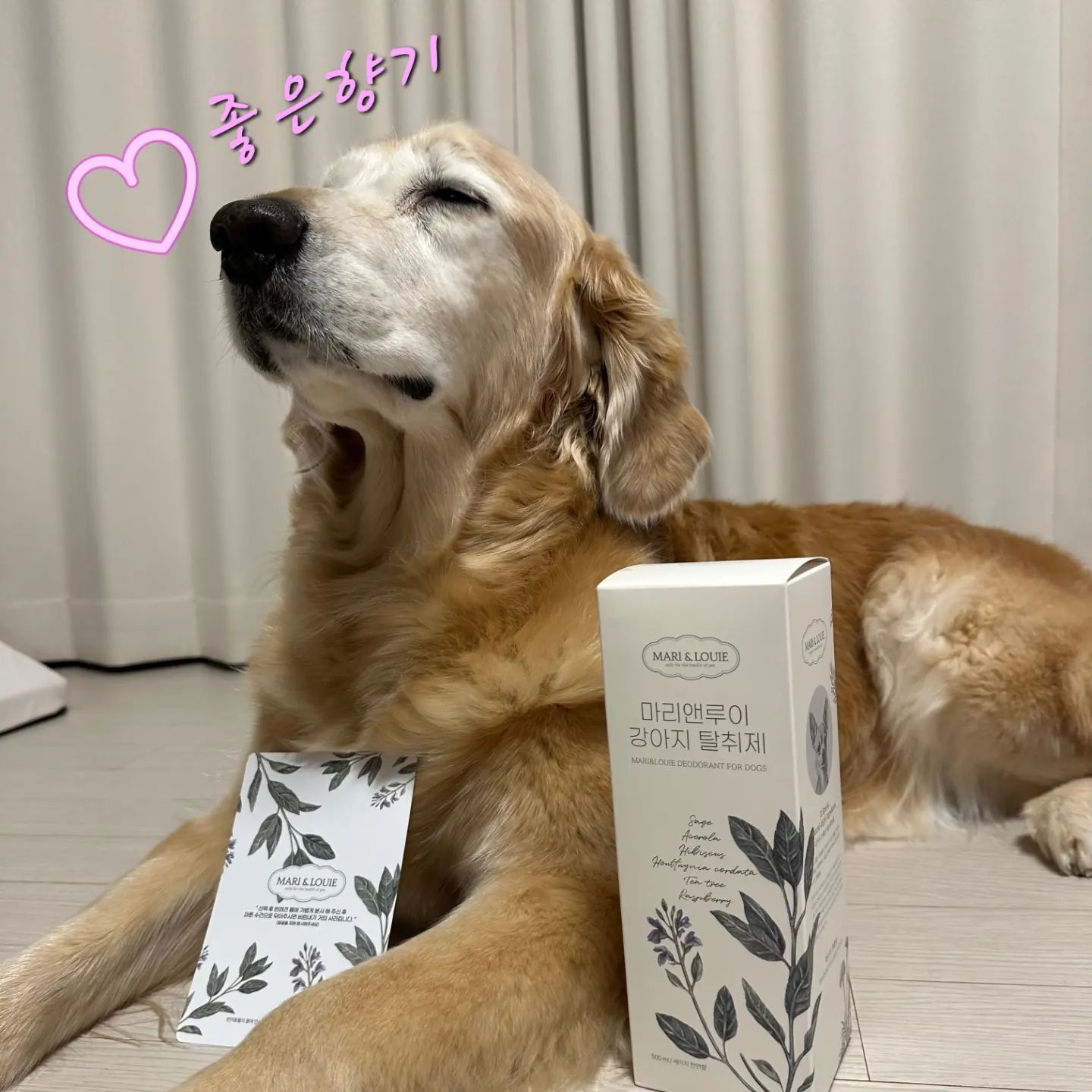 #협찬 #마리앤루이 #강아지탈취제 #마리앤루이강아지탈취제 #강아지천연탈취제 #세이지향강아지탈취제 #강아지배변냄세탈취제 #강아지배변냄새 #강아지냄새 #강아지비둘기냄새 #강아지비린내 #강아지비린내탈취제 #강아지탈취제추천

좋은 제품하나 소개시켜드릴려구요!
이 제품으로 저희 망고에게 향기가 나서 너무너무 좋더라구요!

🐶 첫째, 세이지천연허브향
 ➡️ 후각이 예민한 우리강쥐들에게 세이지천연허브향을 사용하여 자극이 덜한점!

🐶 둘째, 직접뿌려도 안심되는 탈취제
 ➡️ 애기몸에 직접 뿌려도 안심되는점!

🐶 셋째, 탈취 피모관리 VITA 20 some 
 ➡️ 단순히 냄새로 덮는게 아닌 냄새나는 원인을 제거함!

 ➡️ 피모 관리성분 병풀, 티트리, 약모밀 등 12가지 자연유래성분!

 ➡️ 비타민 10가지 (B1,B3,B5,B6,B9,B12,C,E,F,H)!