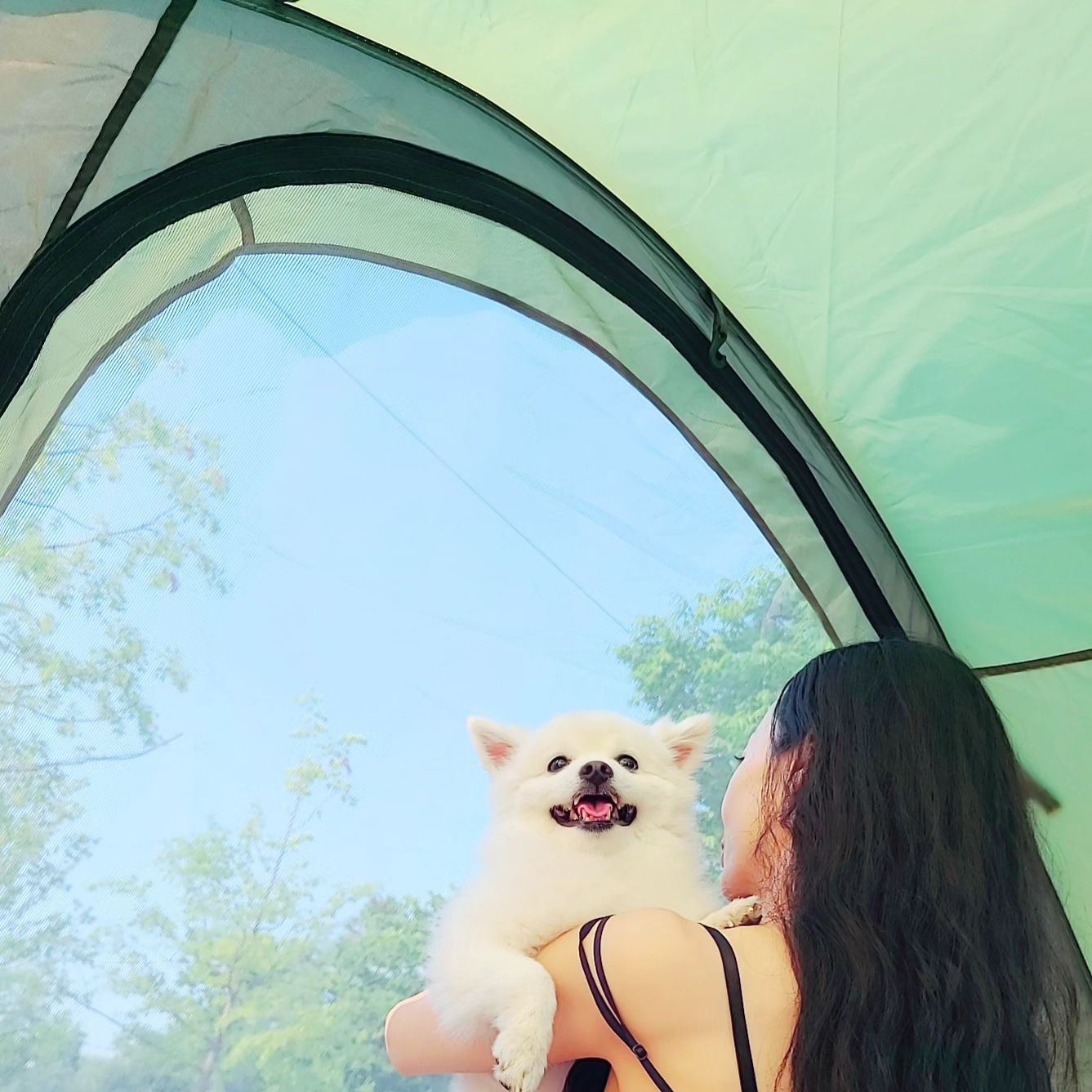 표정이 실시간마다 변하는🐶🩷